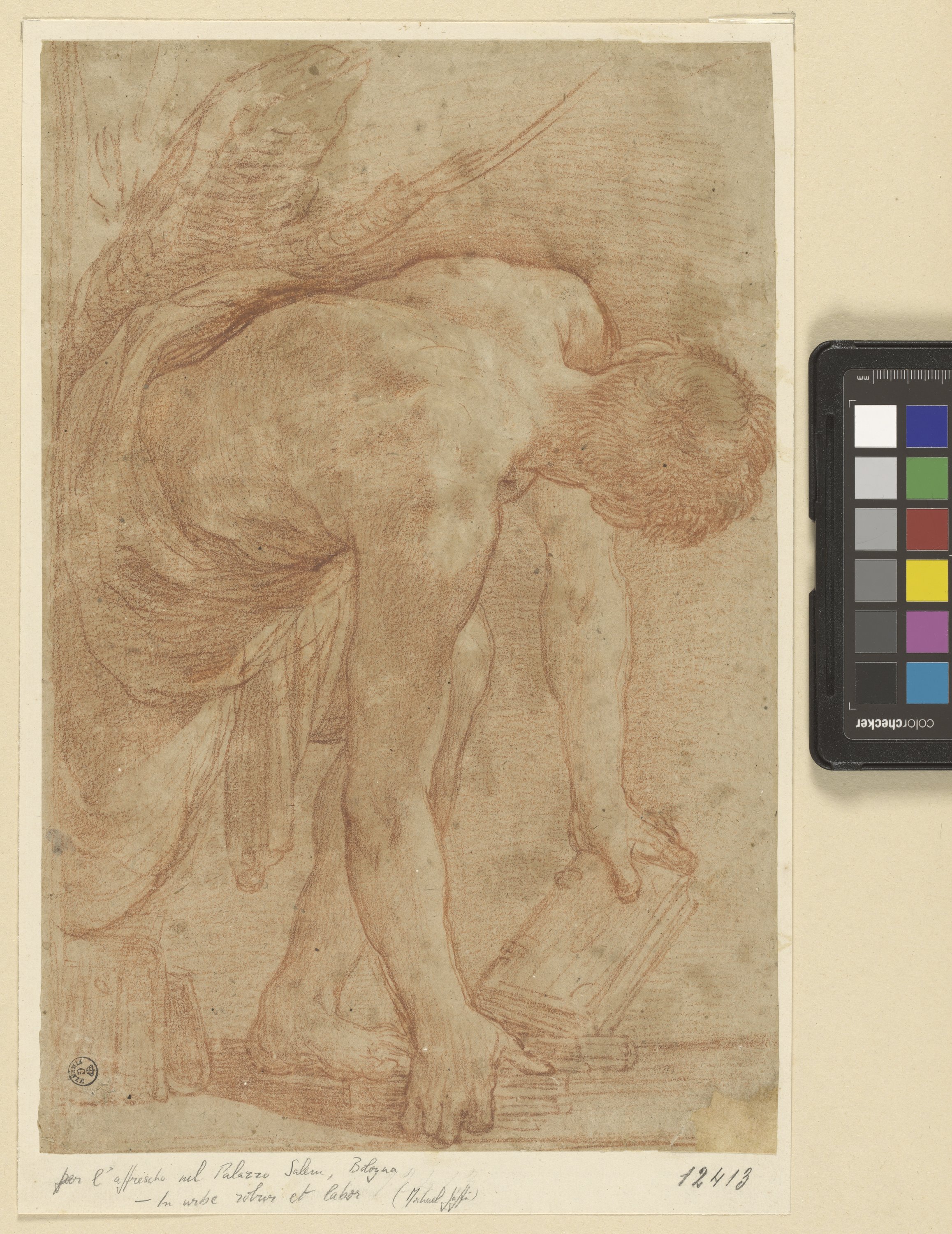 Studio di giovane seminudo con libro (disegno) di Carracci Annibale (ultimo quarto XVI)