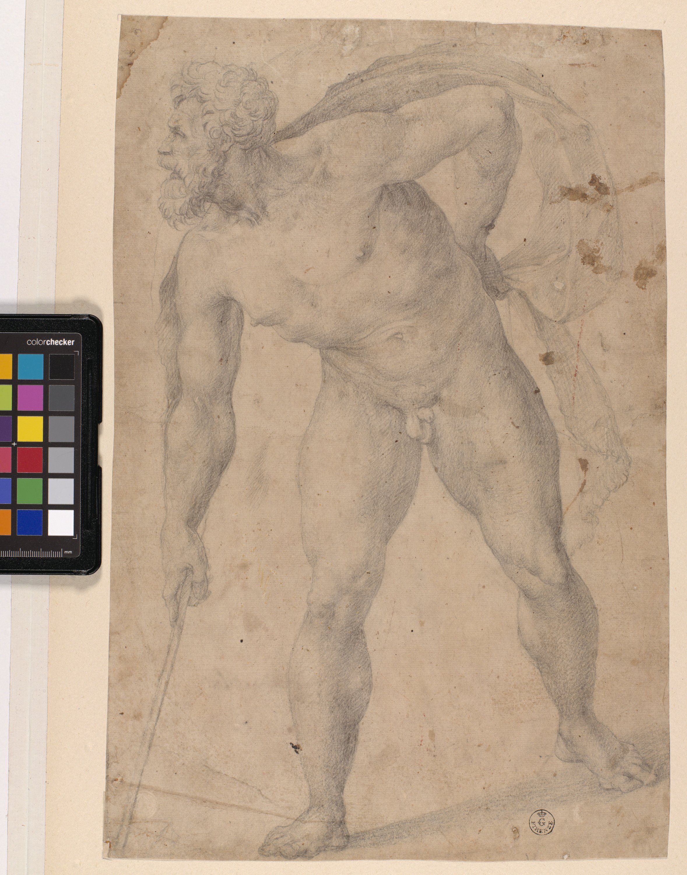 figura maschile nuda piegata verso sinistra (disegno) di Allori Alessandro (terzo quarto XVI)