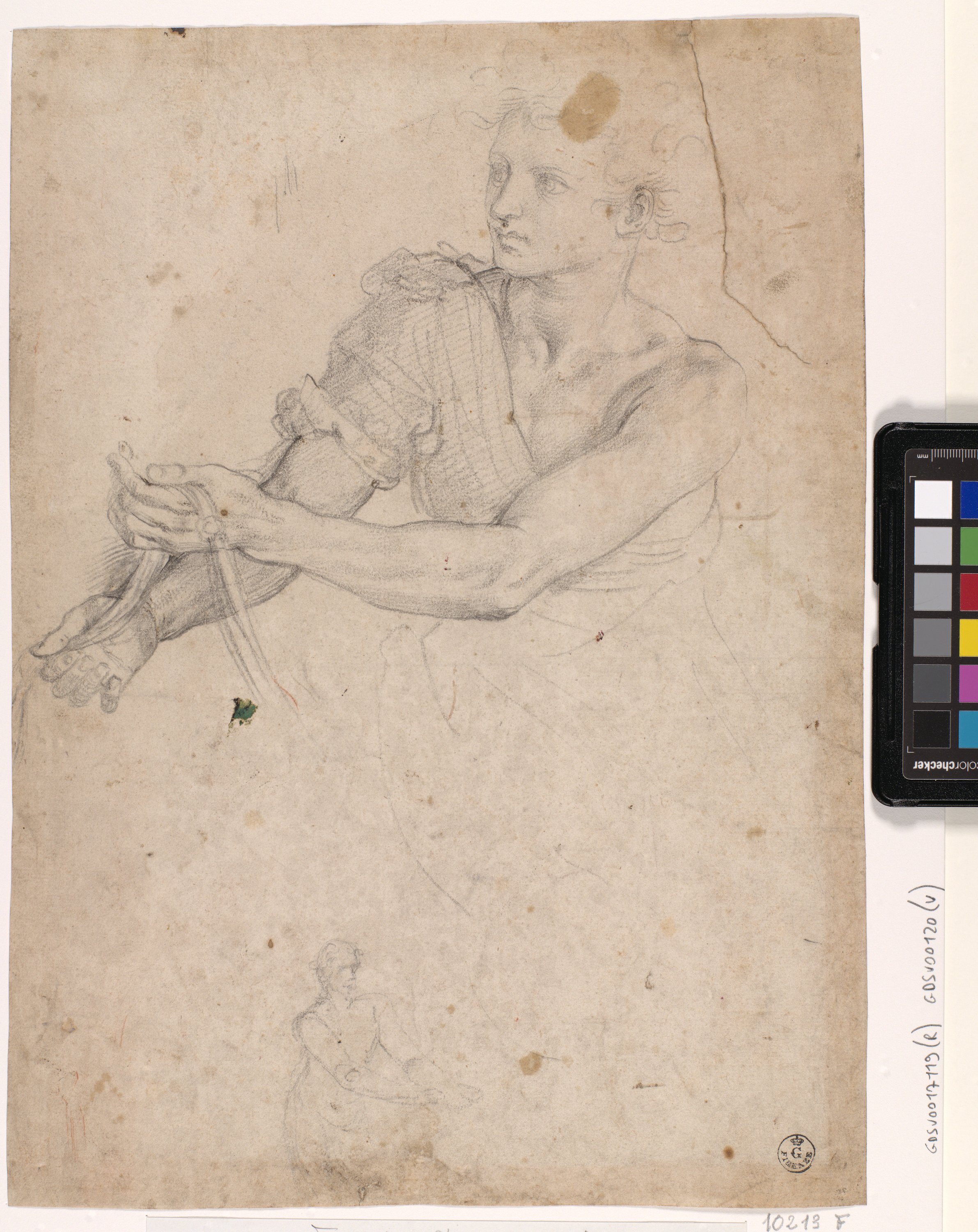 Studio di un giovane a mezza figura volto a sinistra (disegno) di Allori Alessandro (ultimo quarto XVI)