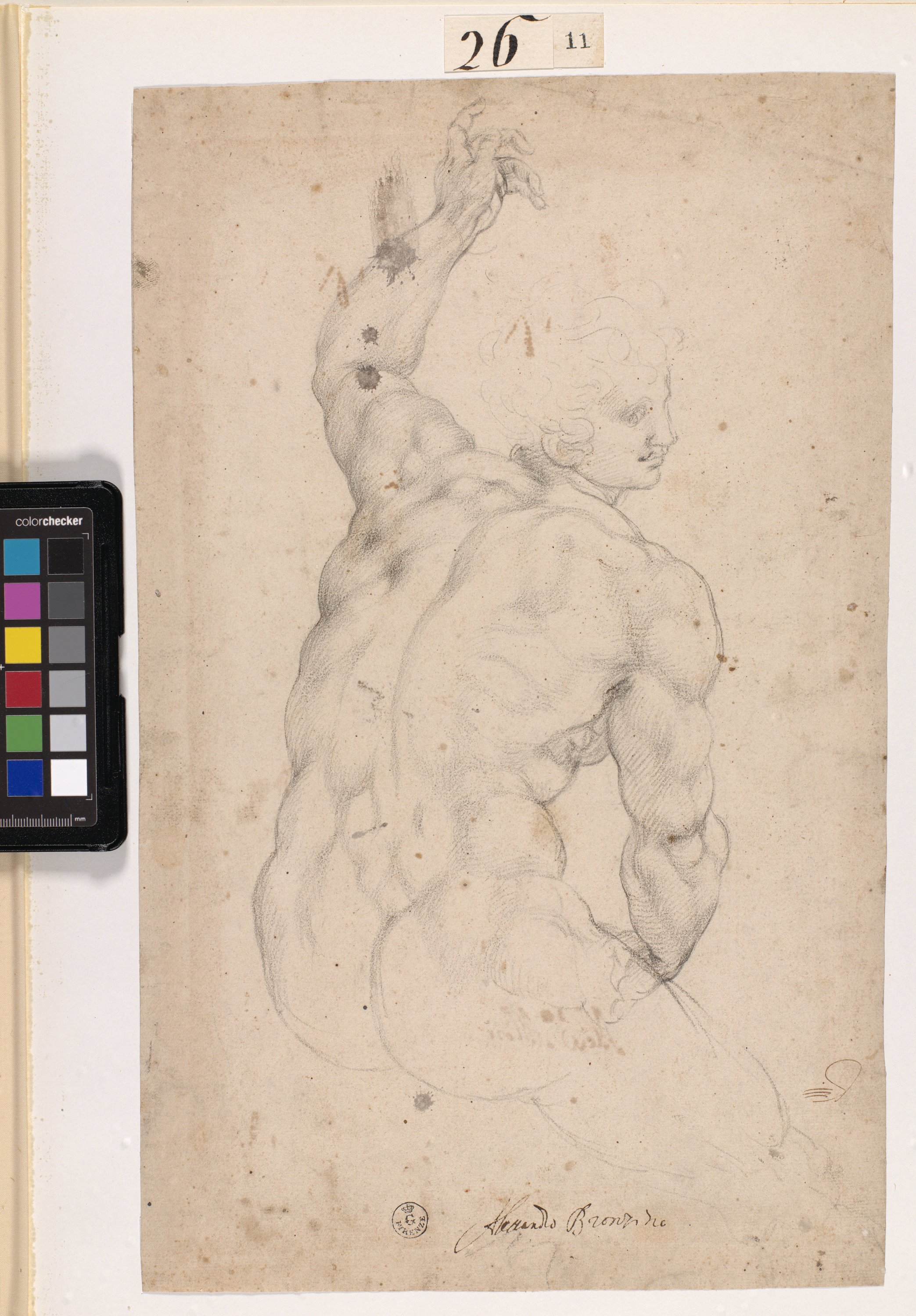 Studio di figura maschile nuda vista di spalle (r.), Studio di figura maschile nuda vista di spalle (v.) (disegno) di Allori Alessandro (seconda metà XVI)