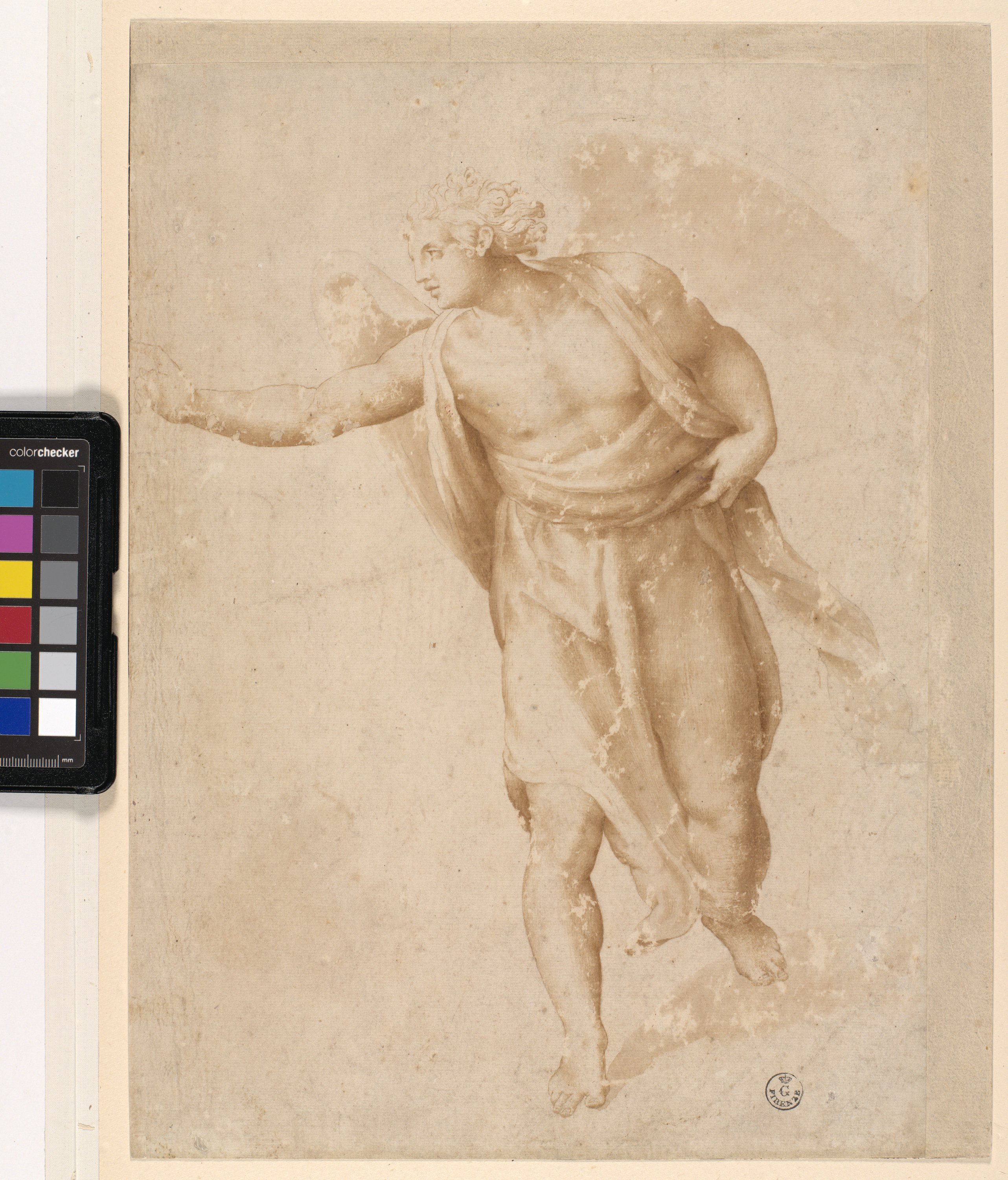 Studio di angelo annunciante di profilo a sinistra (disegno) di Allori Alessandro (seconda metà XVI)