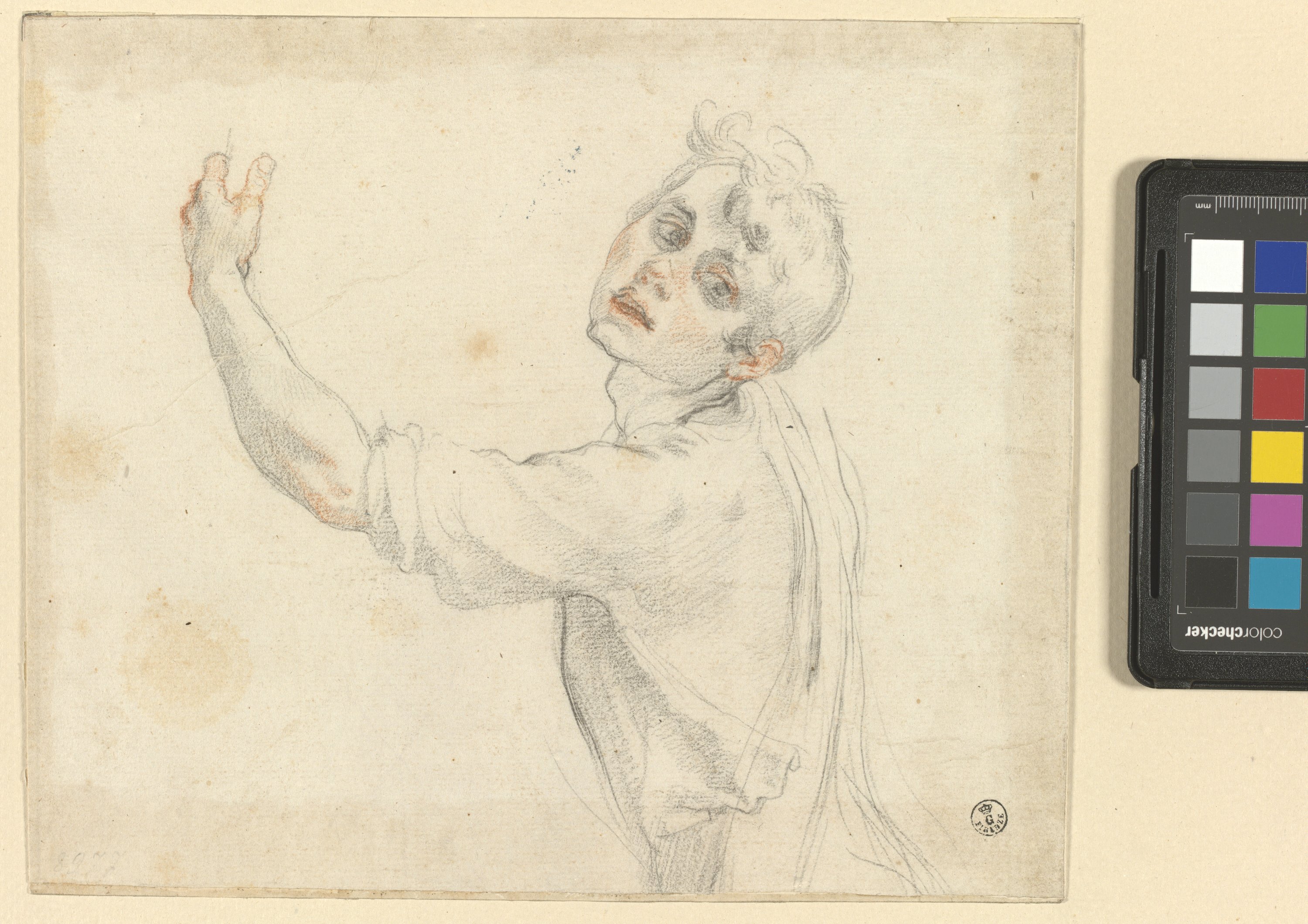 giovane a mezzo busto di spalle con la testa girata di tre quarti (disegno) di Cardi Ludovico detto Cigoli (attribuito) (inizio XVII)