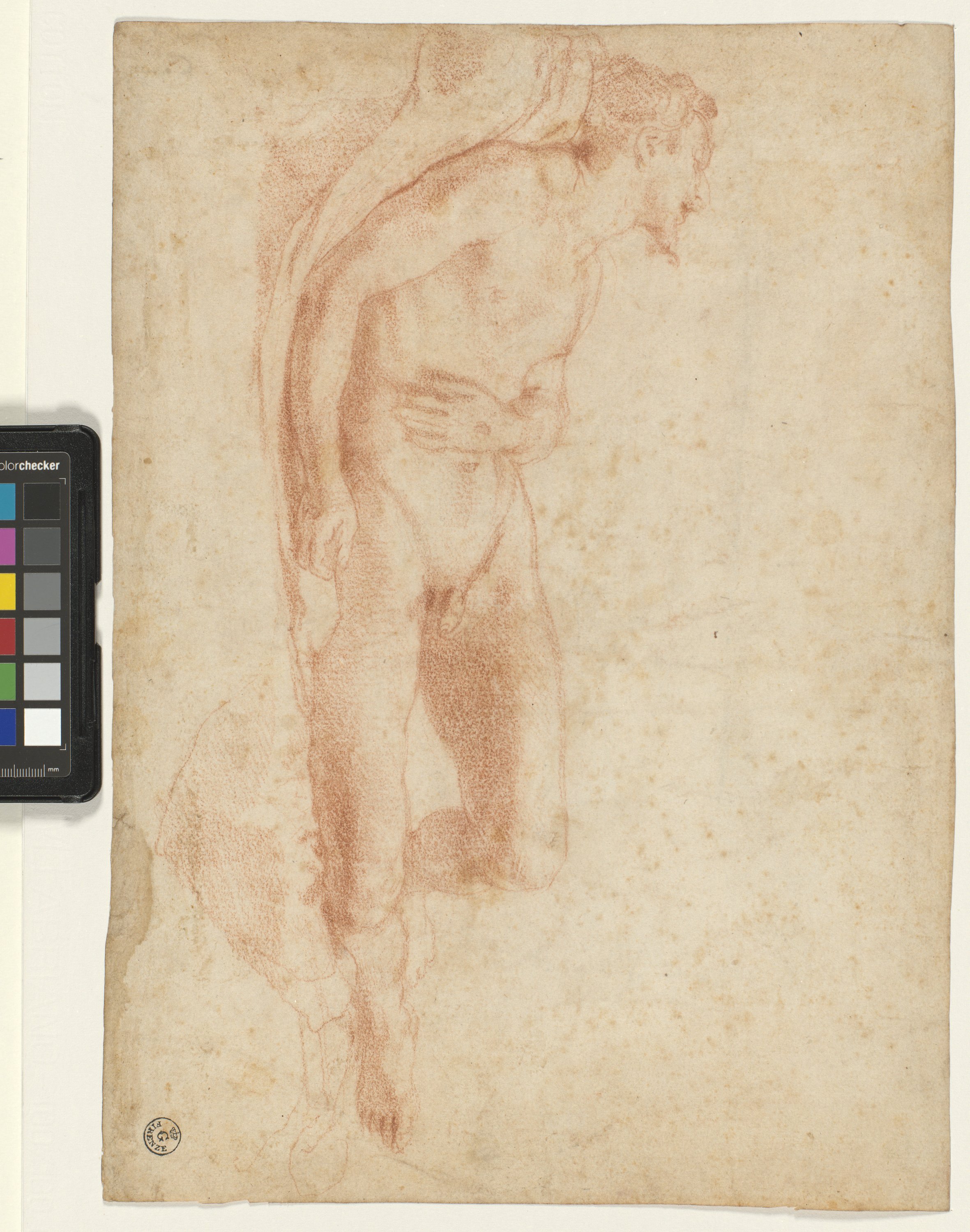 figura maschile nuda sdraiata (disegno) di Cardi Ludovico detto Cigoli (XVI)