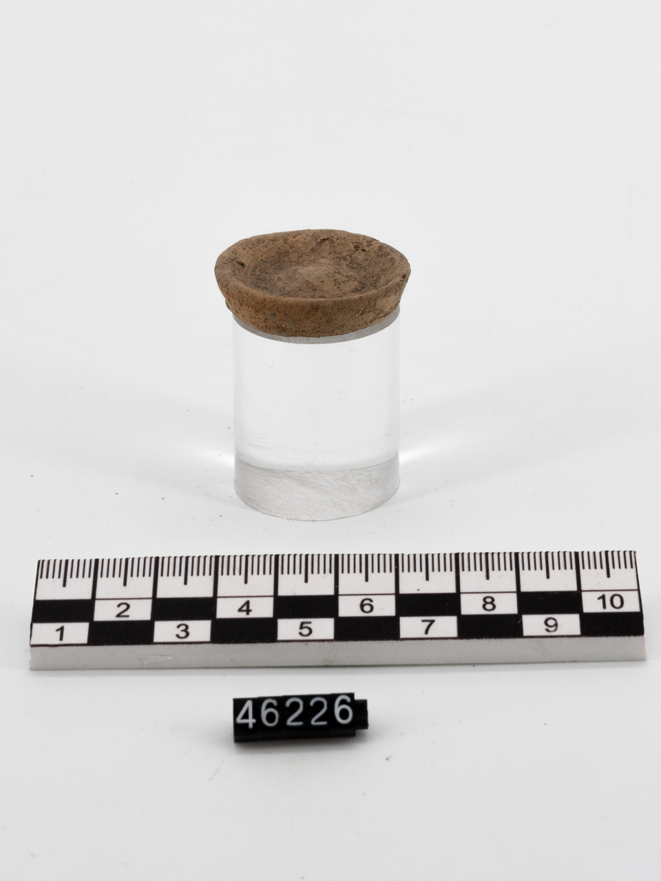 coppa/ biansata (SECOLI/ IV a.C)