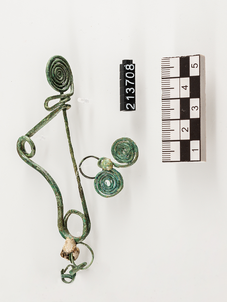 fibula/ serpeggiante (SECOLI/ VIII a.C)