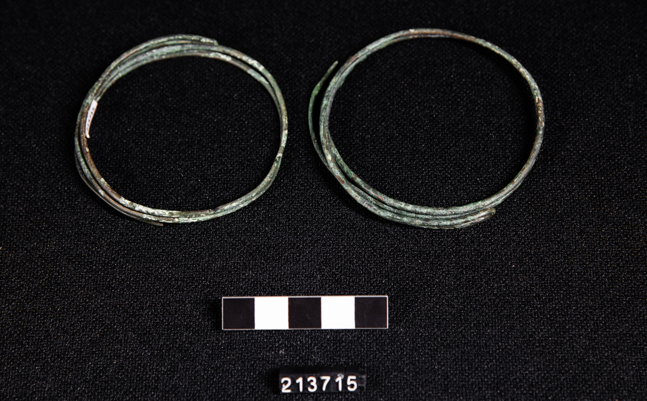 orecchino (SECOLI/ VIII a.C)