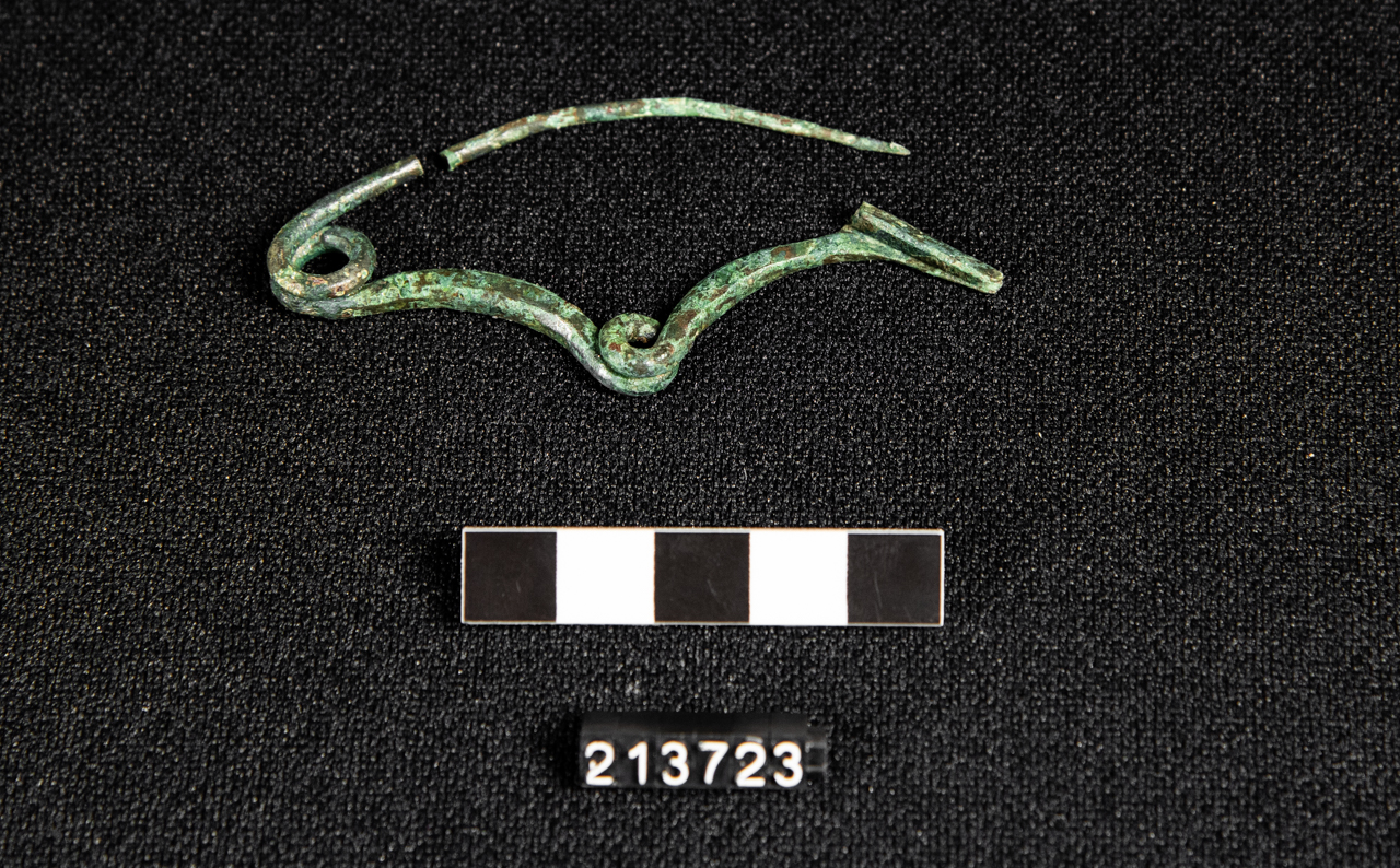 fibula/ serpeggiante (SECOLI/ VIII a.C)