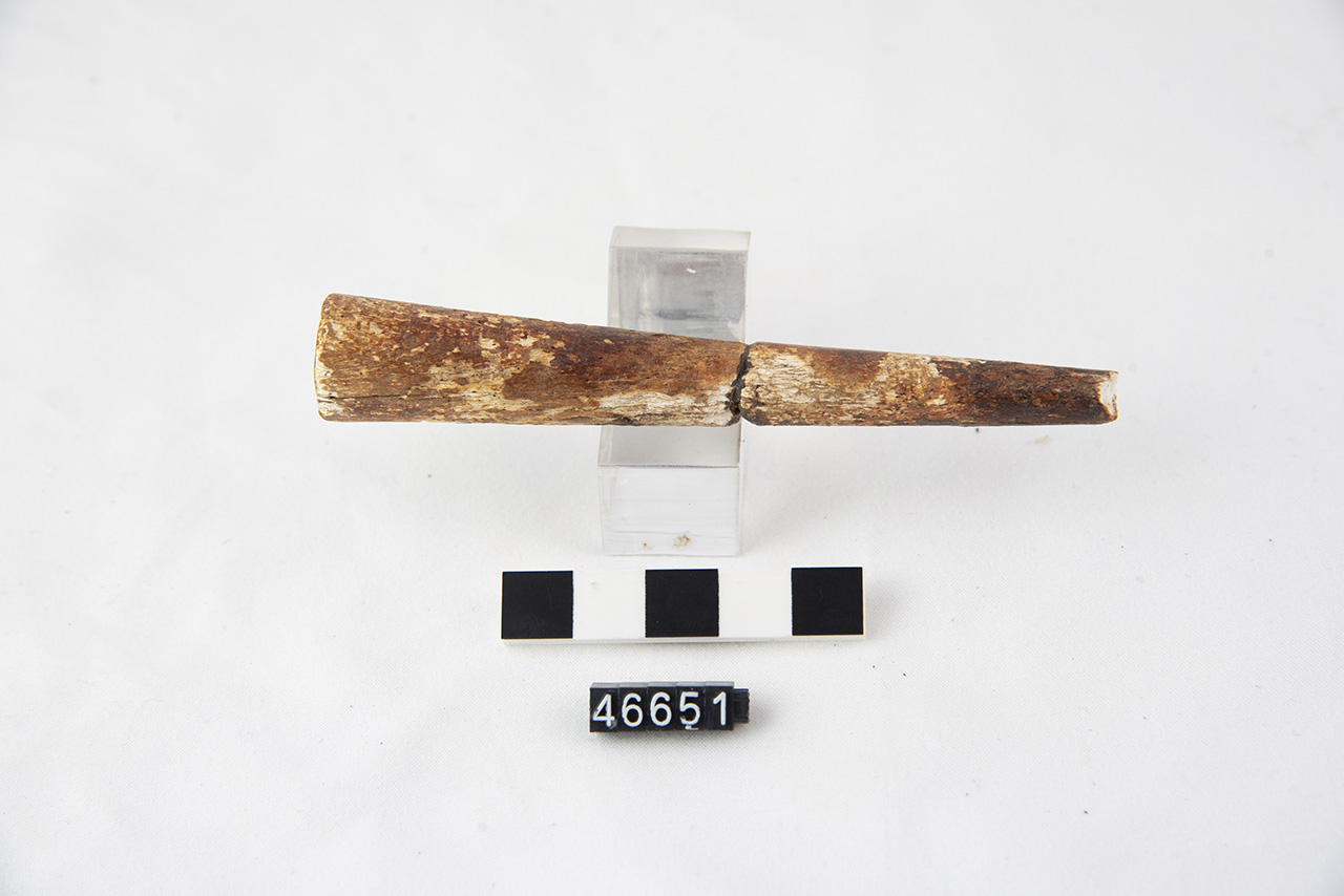 punteruolo (SECOLI/ II a.C./ I a.C)