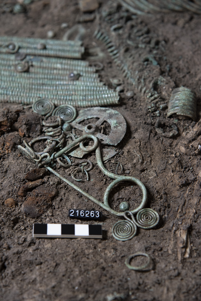 fibula/ serpeggiante (prima metà SECOLI/ IX a.C)