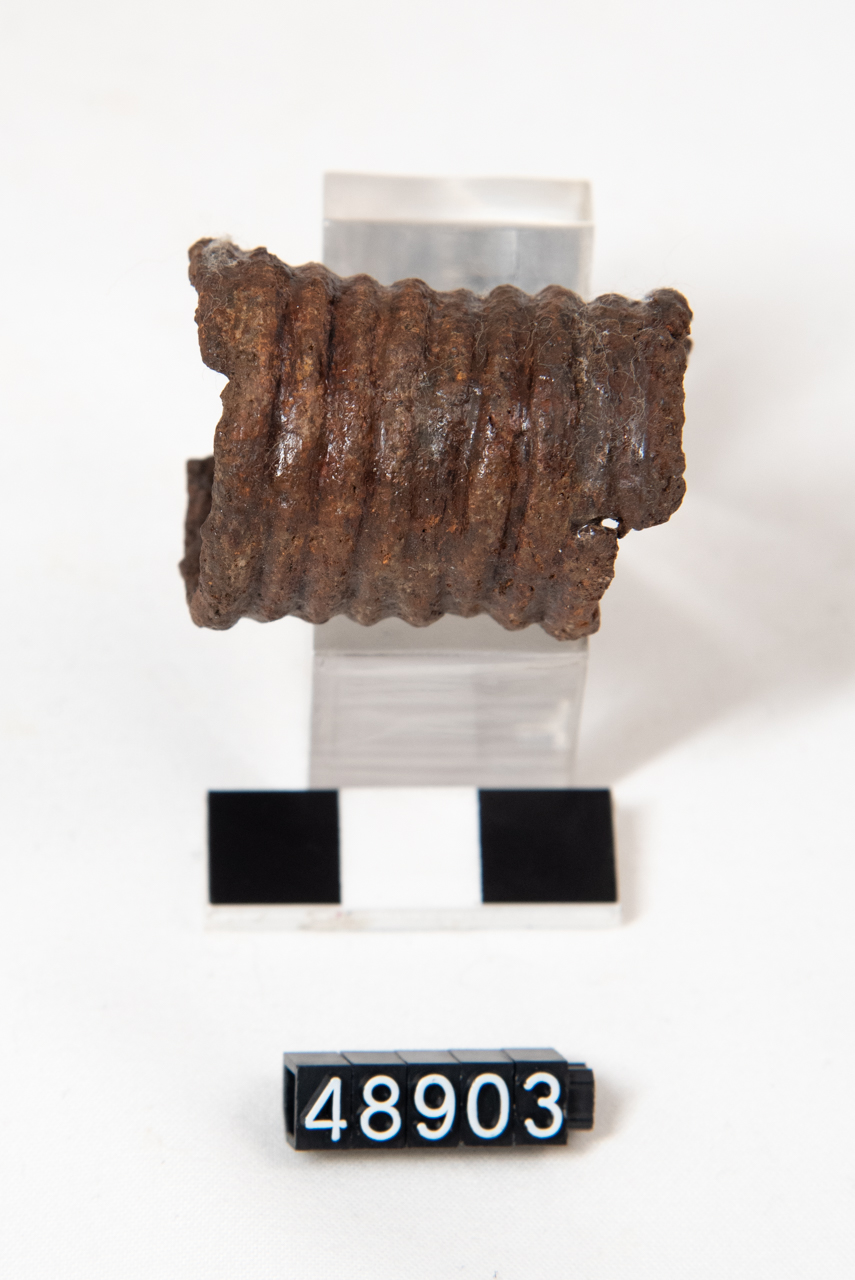 anello - produzione indigena (SECOLI/ VIII a.C)