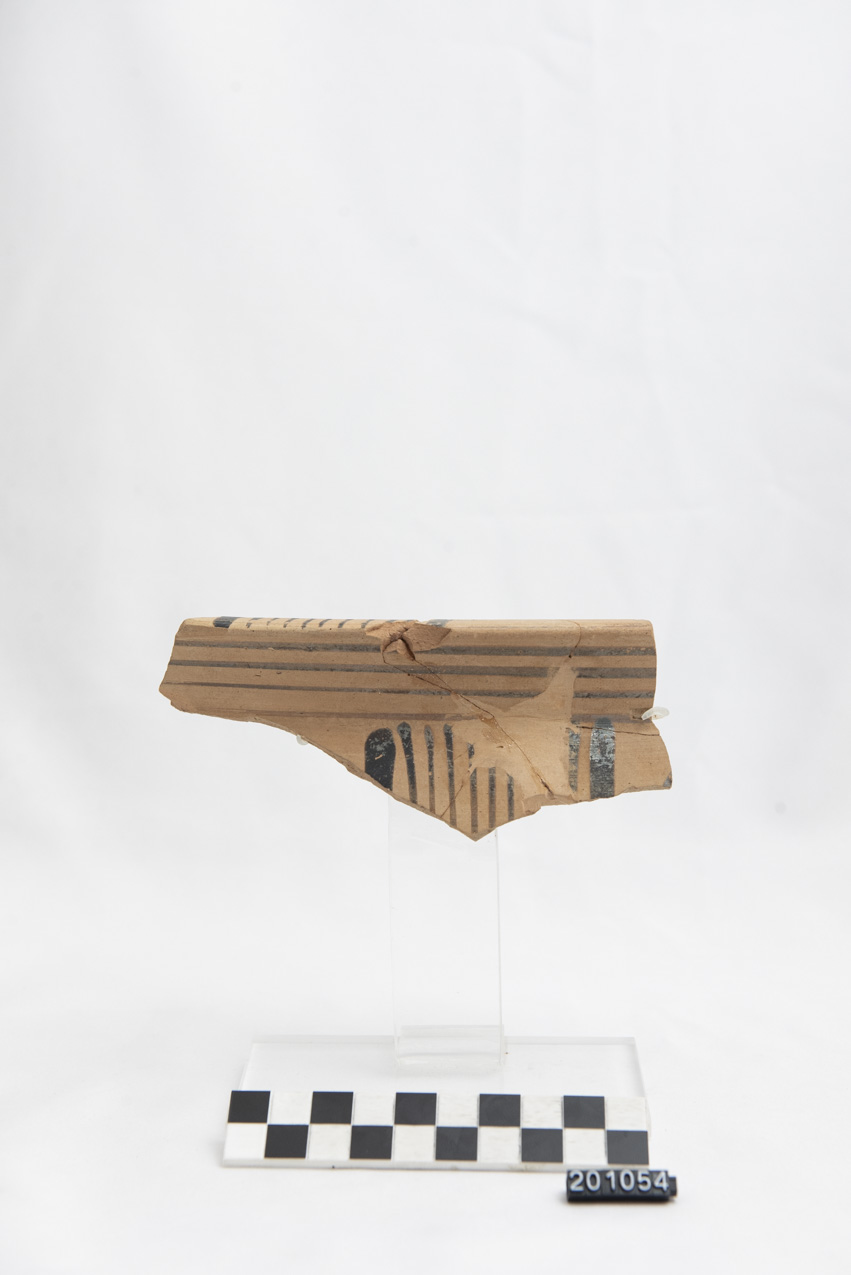 deinos/ parete, orlo - produzione locale (SECOLI/ VII a.C)