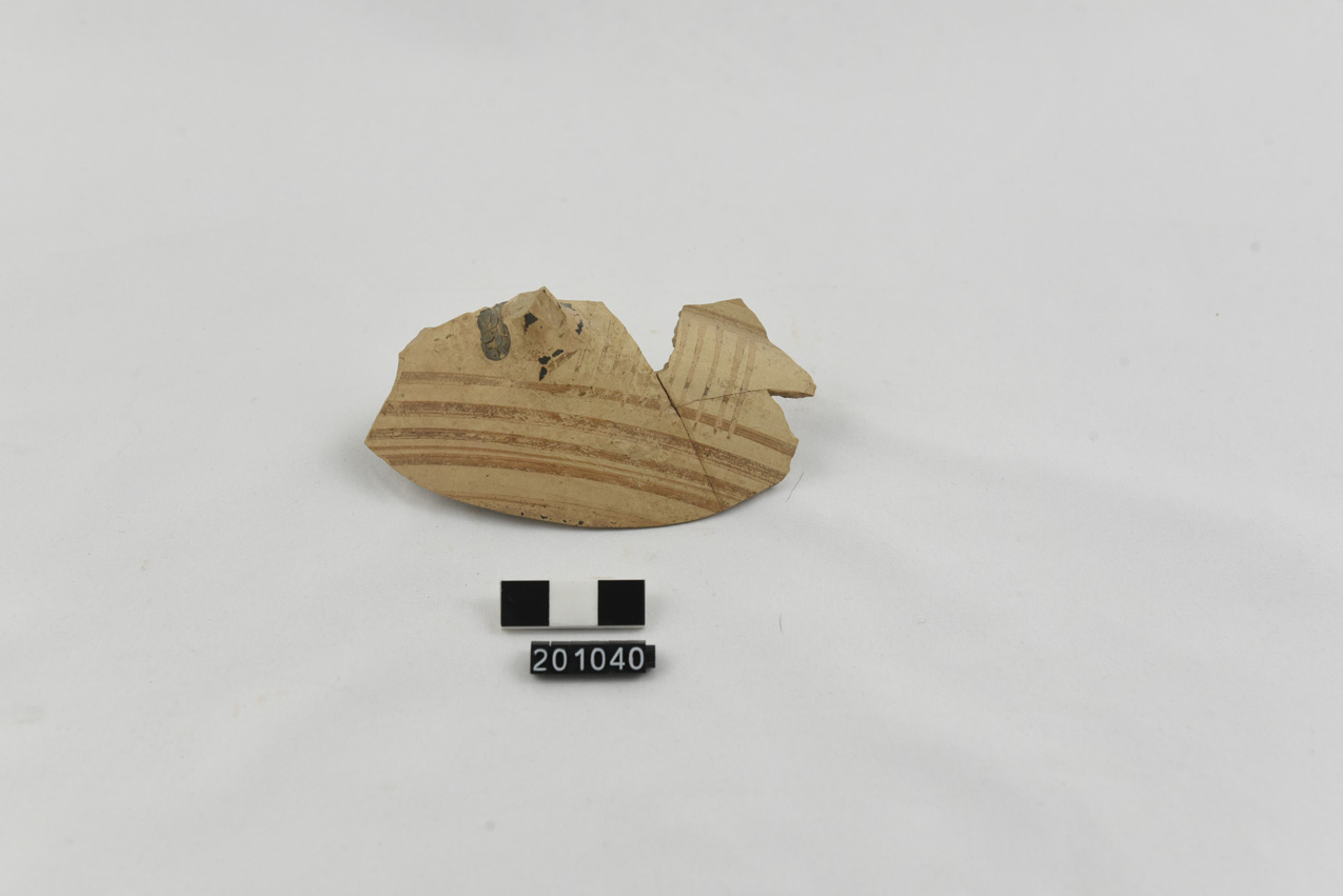 coppa/ parete - produzione locale (SECOLI/ VII a.C./ VI a.C)