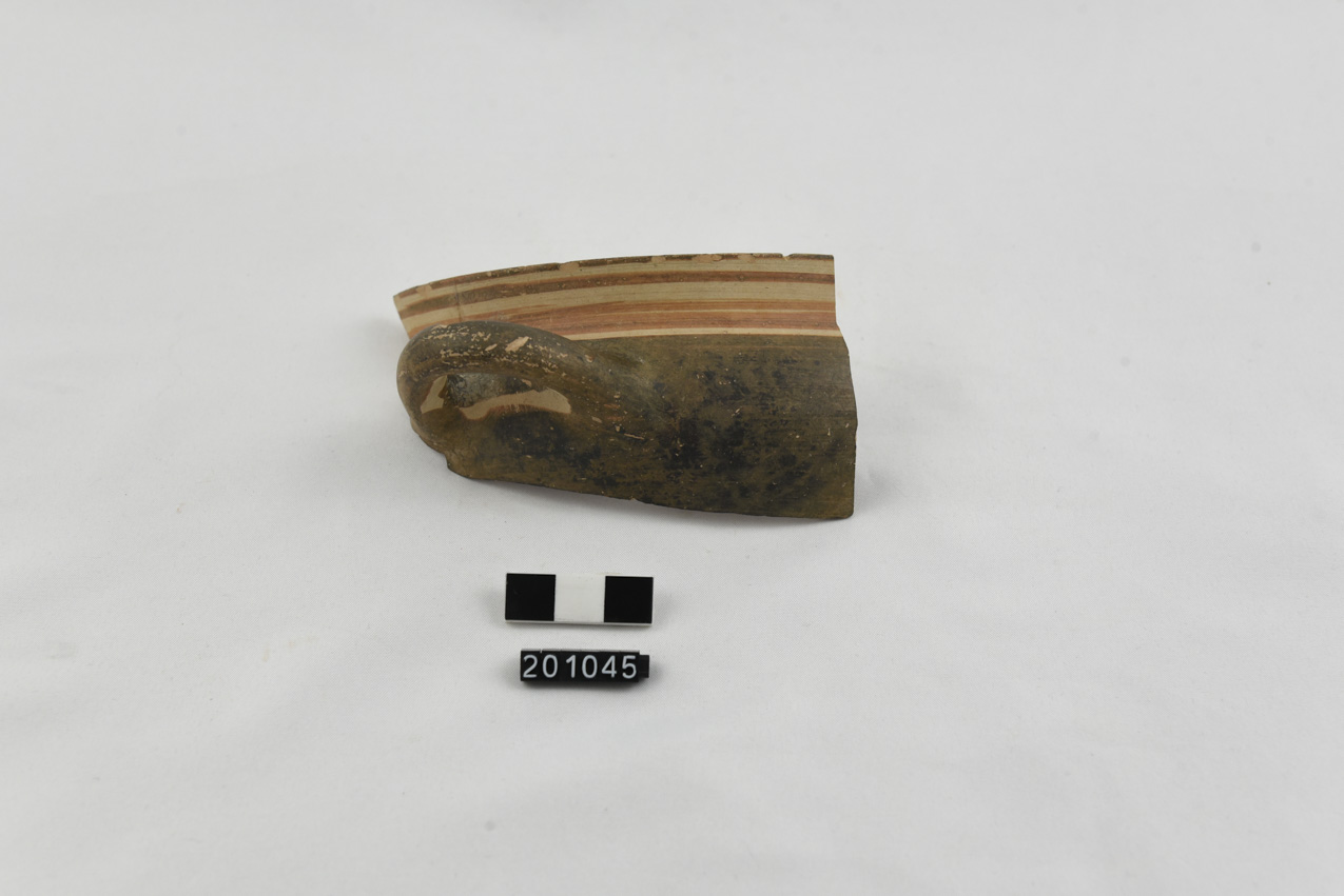 coppa/ orlo, parete - produzione locale (SECOLI/ VI a.C)