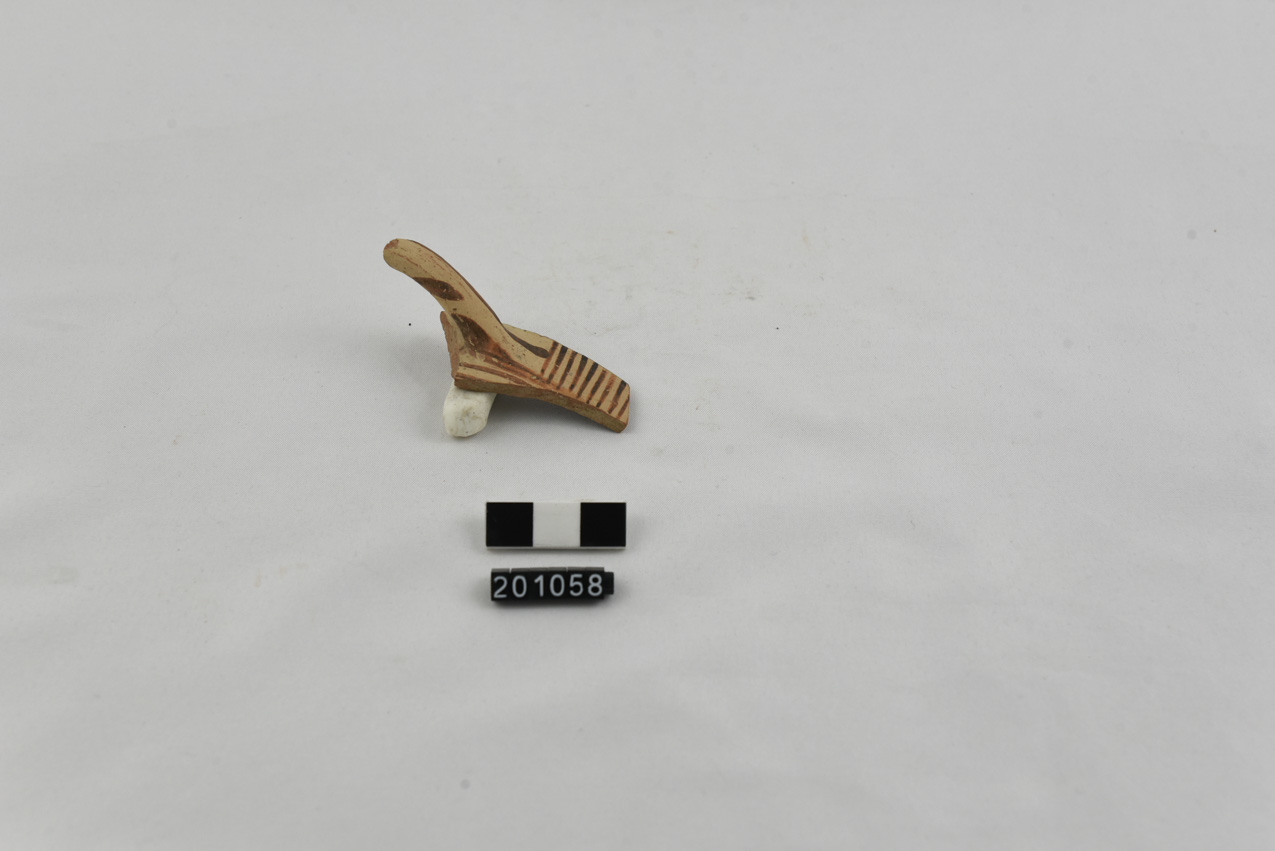 coppa/ orlo, parete - produzione locale (SECOLI/ VI a.C)