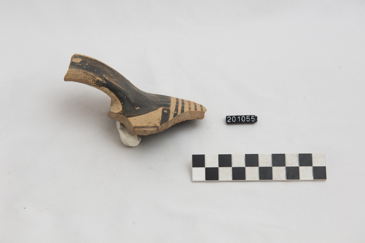 olla/ parete - produzione locale (SECOLI/ VII a.C)