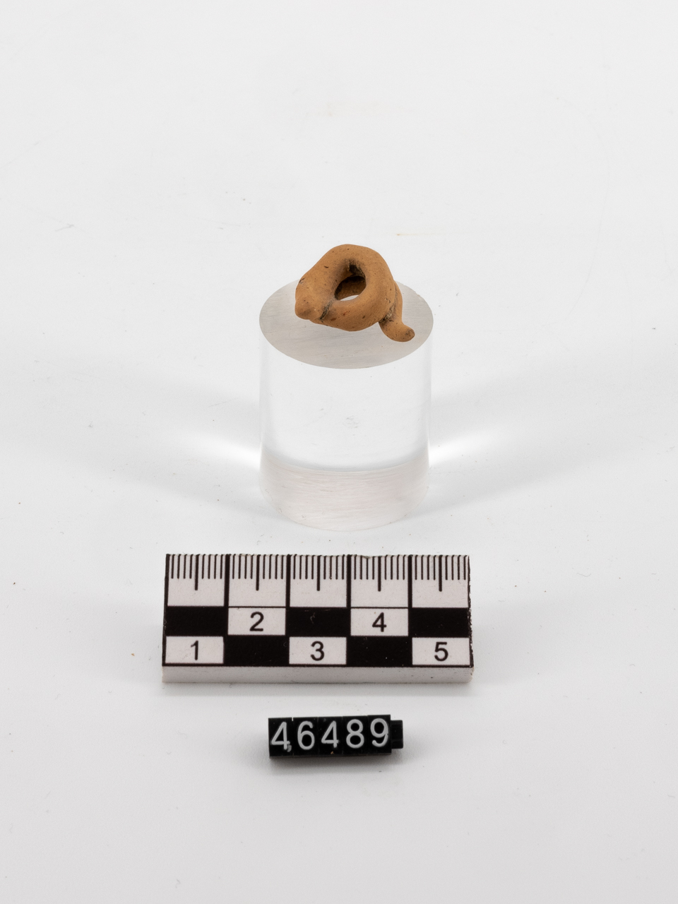 serpente fittile - produzione locale (fine SECOLI/ IV a.C)