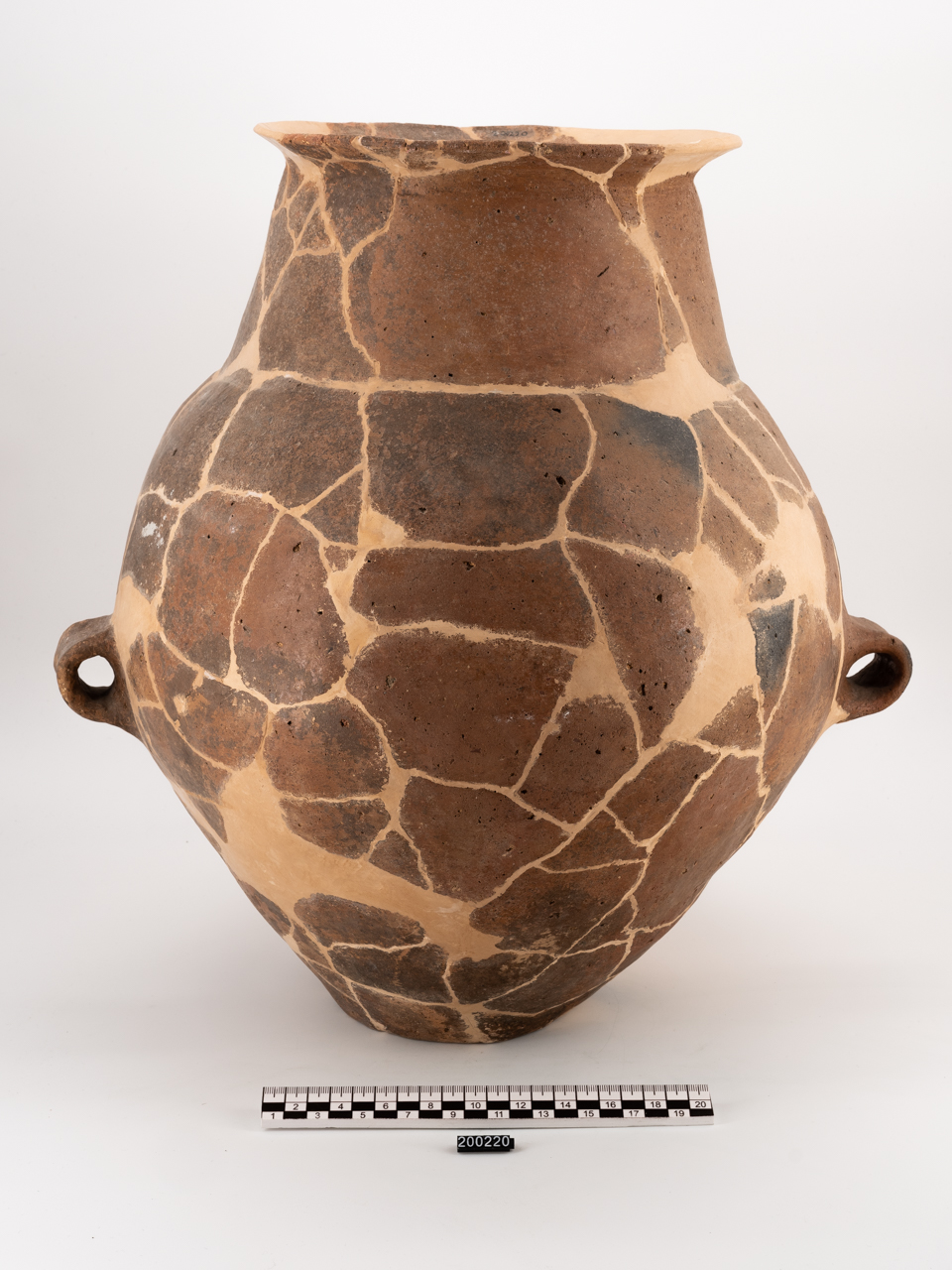 vaso (PERIODIZZAZIONI/ PROTOSTORIA/ Età del Bronzo)