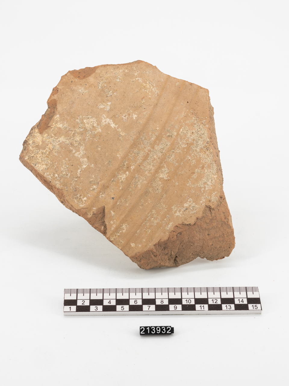 grande contenitore/ parete (PERIODIZZAZIONI/ PROTOSTORIA/ Età del Bronzo)