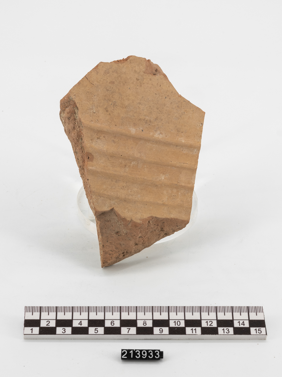 grande contenitore/ parete (PERIODIZZAZIONI/ PROTOSTORIA/ Età del Bronzo)