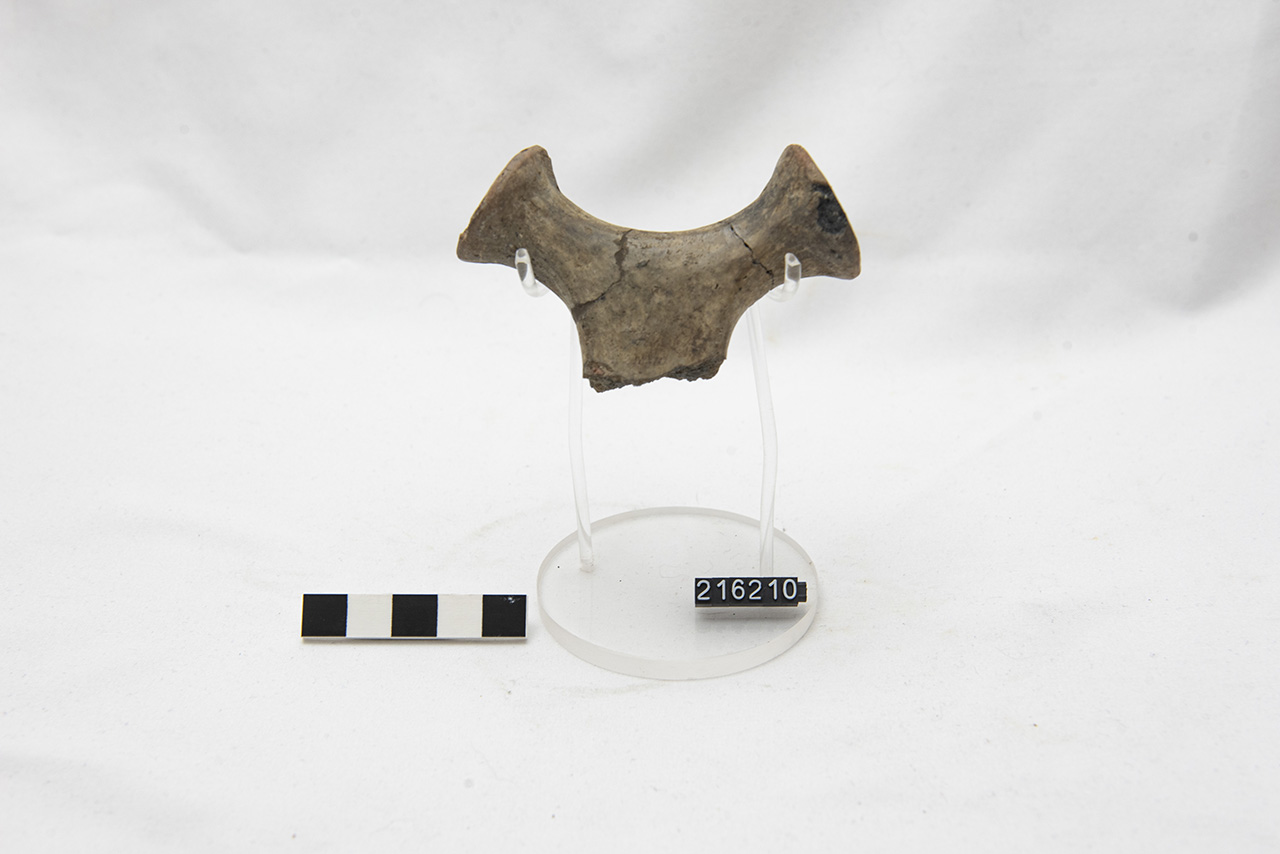 ansa/ frammento (PERIODIZZAZIONI/ PROTOSTORIA/ Età del Bronzo)