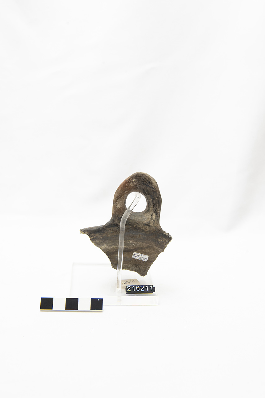 vaso/ orlo, ansa (PERIODIZZAZIONI/ PROTOSTORIA/ Età del Bronzo)