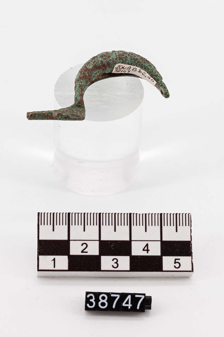 fibula/ a sanguisuga (SECOLI/ VI a.C)