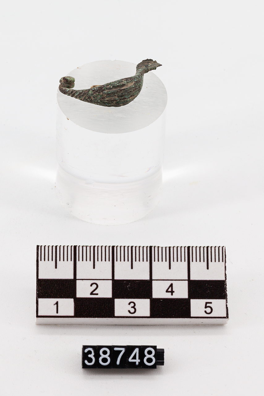 fibula/ a sanguisuga (SECOLI/ VI a.C)