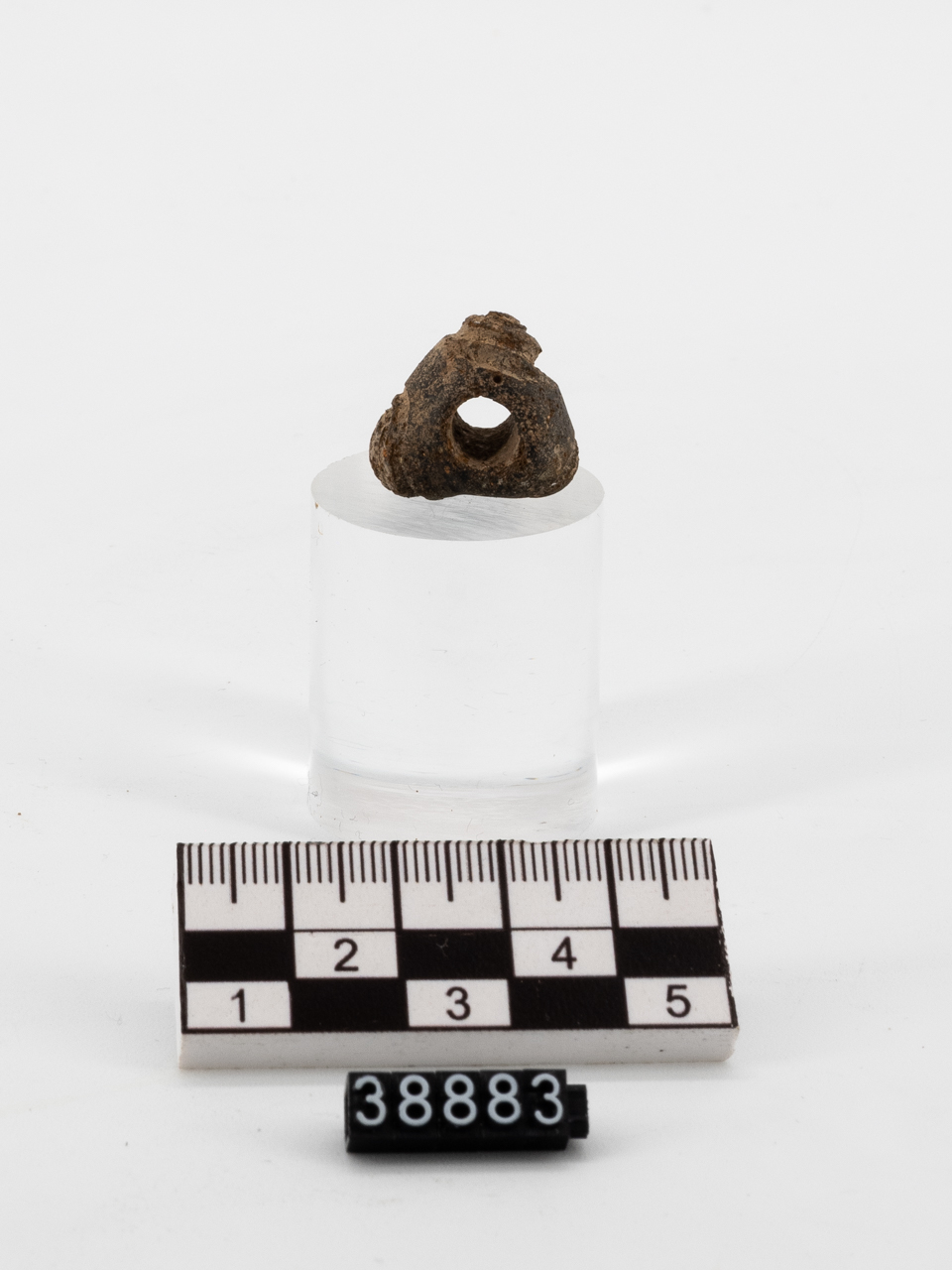 fuseruola (SECOLI/ VI a.C)