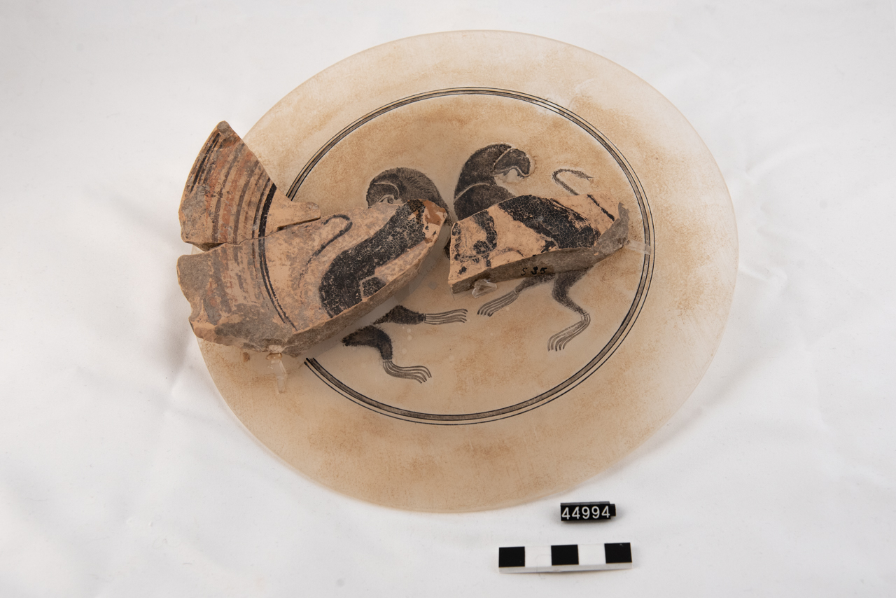 piatto - produzione locale (SECOLI/ VI a.C)