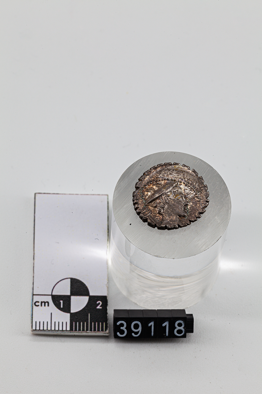moneta - Denario (SECOLI/ I a.C)