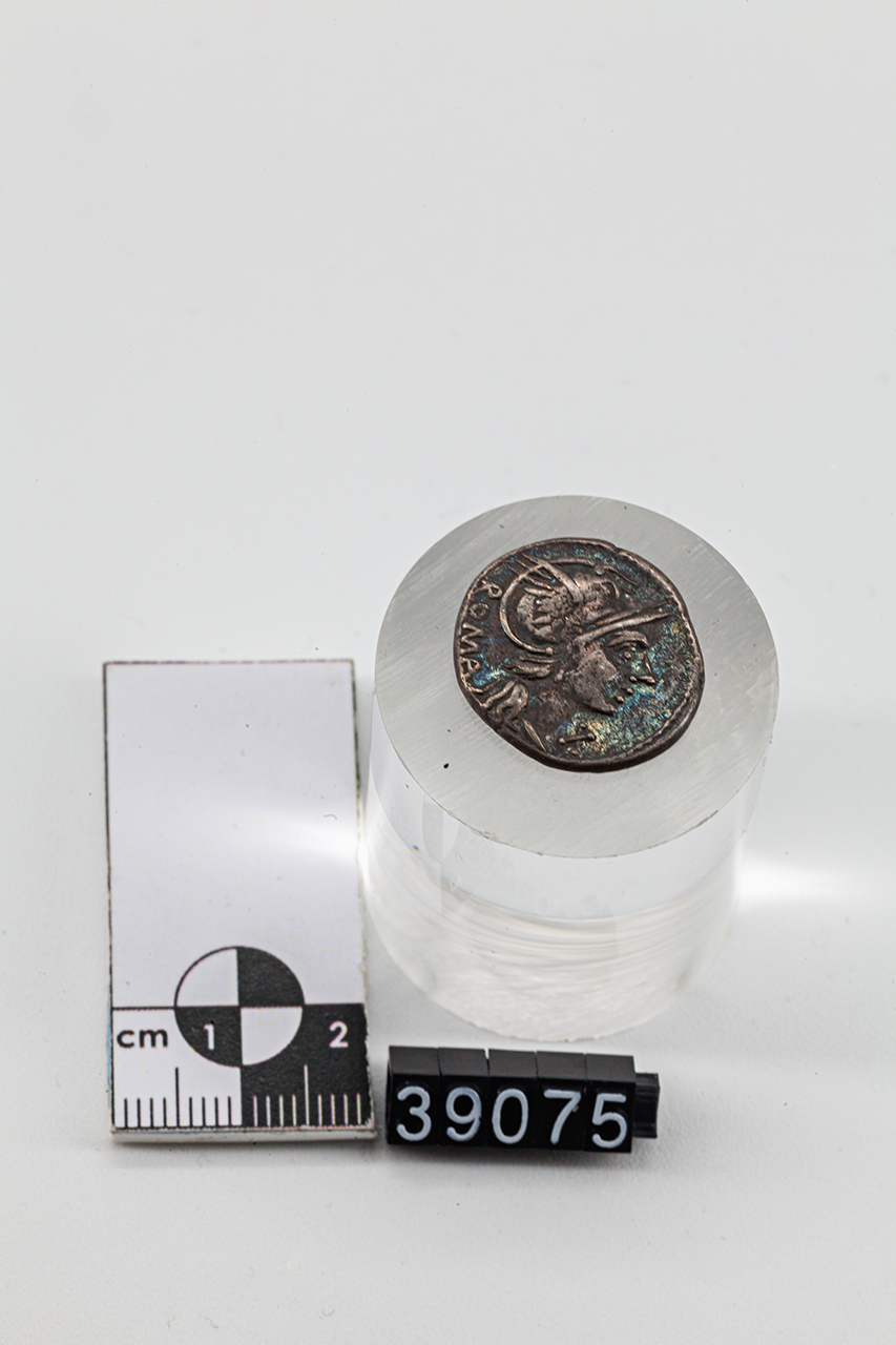 moneta - Denario (SECOLI/ II a.C)