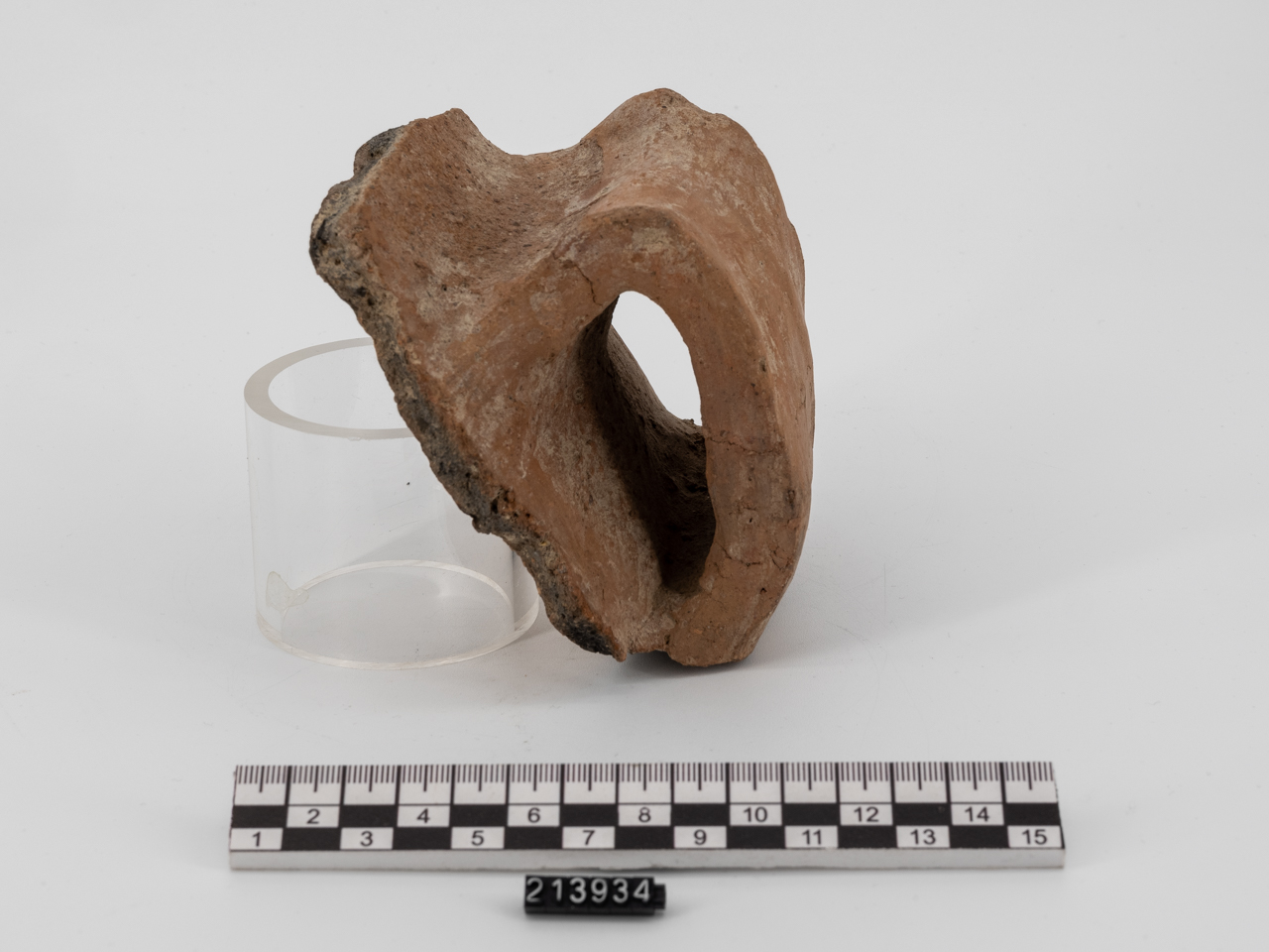 grande contenitore/ ansa (PERIODIZZAZIONI/ PROTOSTORIA/ Età del Bronzo)