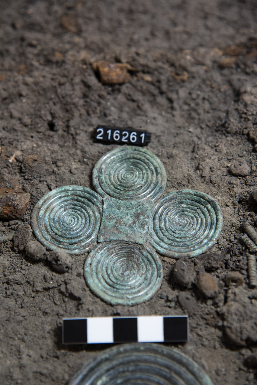 fibula/ a quattro spirali (prima metà SECOLI/ IX a.C)