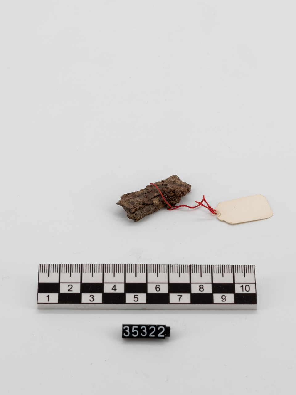 lancia/ punta (PERIODIZZAZIONI/ STORIA/ Età antica/ Età greca/ Età greca arcaica)