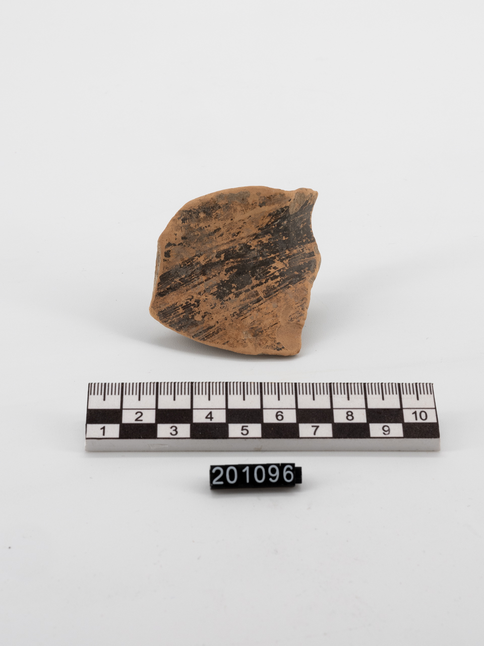 oinochoe/ orlo (PERIODIZZAZIONI/ STORIA/ Età antica/ Età greca/ Età greca arcaica)