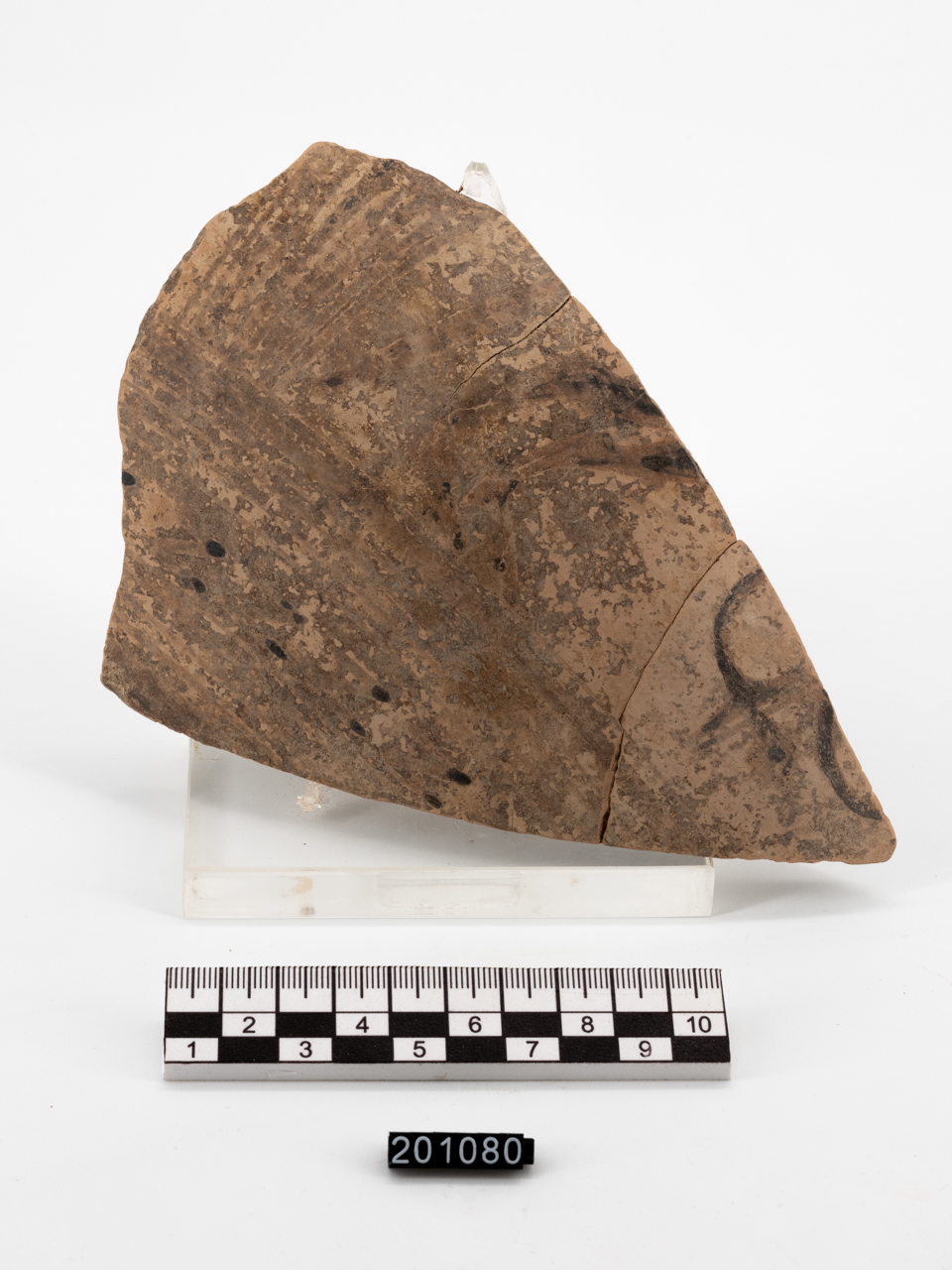 deinos/ parete (PERIODIZZAZIONI/ STORIA/ Età antica/ Età greca/ Età greca arcaica)