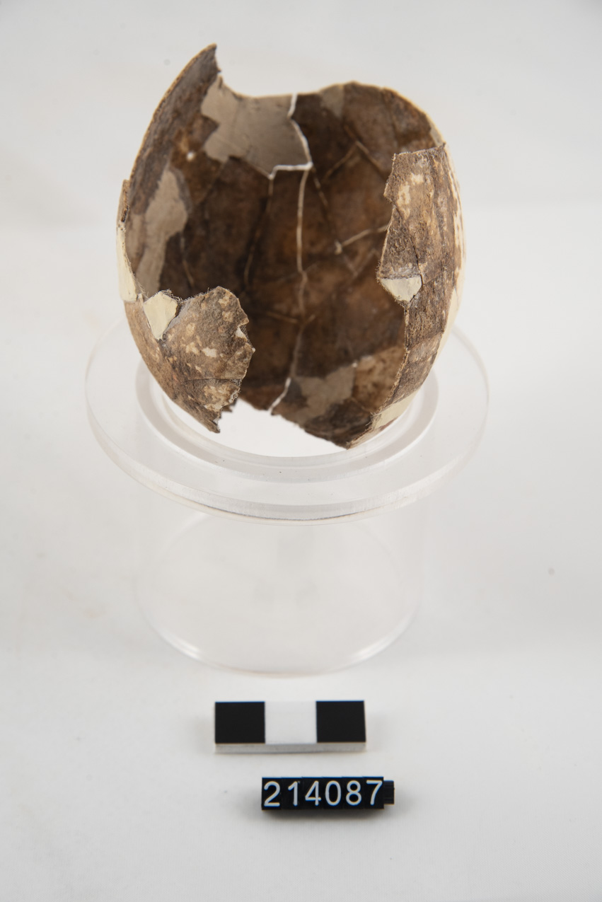 lekithos (inizio SECOLI/ III a.C)