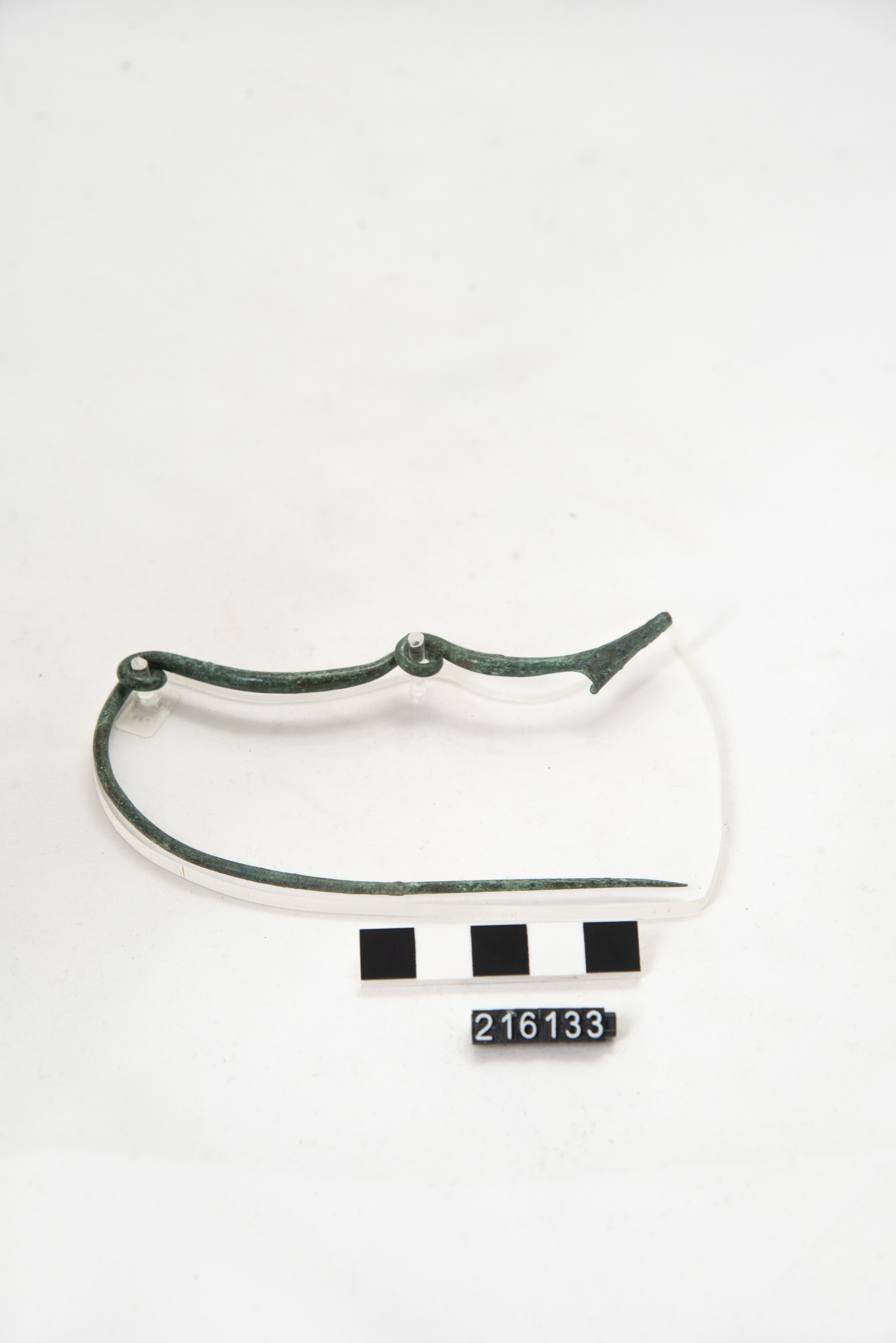 fibula/ serpeggiante (prima metà SECOLI/ VIII a.C)