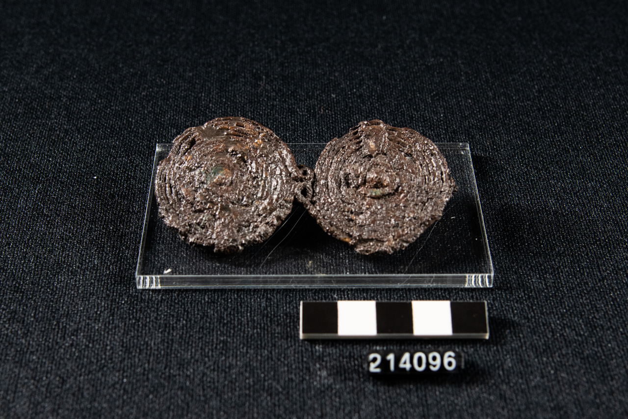 fibula (fine/ inizio VII-VI sec. a.C)