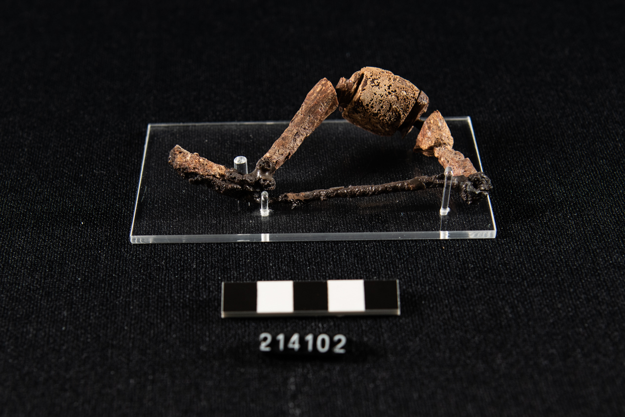 fibula/ ad arco rivestito (fine/ inizio VII-VI sec. a.C)