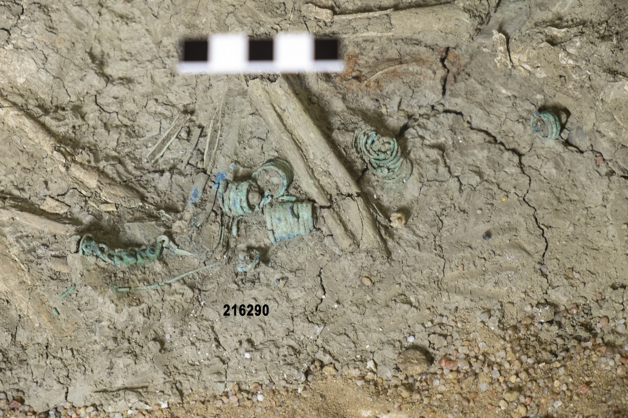 fibula (prima metà SECOLI/ VIII a.C)