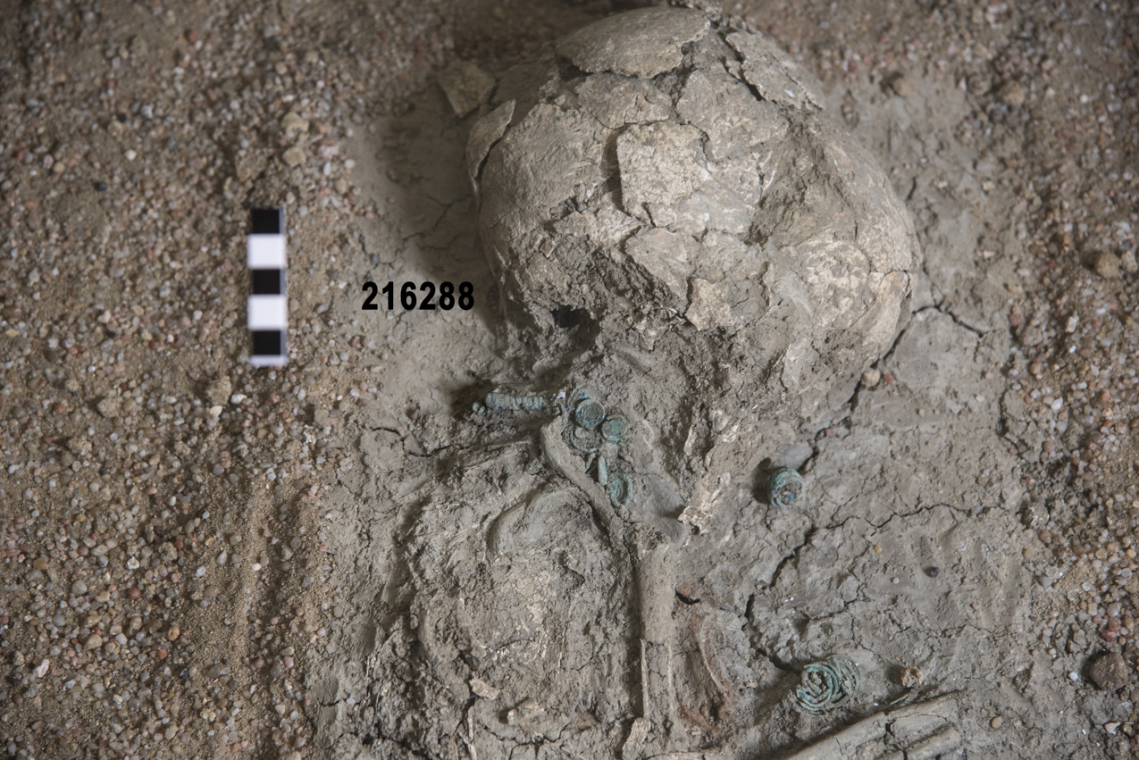 tubulo (prima metà SECOLI/ VIII a.C)