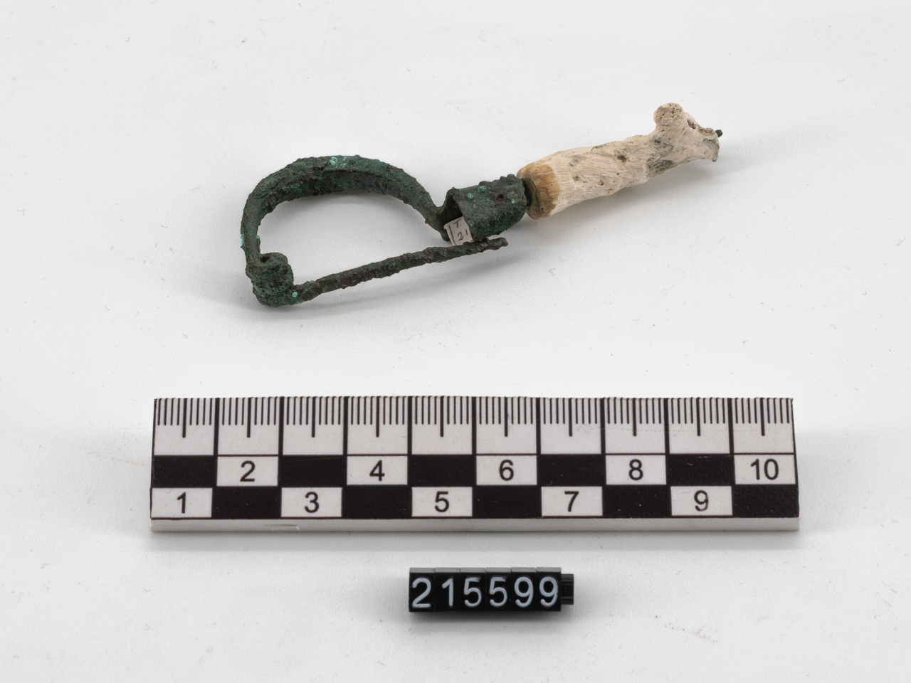 fibula (seconda metà SECOLI/ IV a.C)