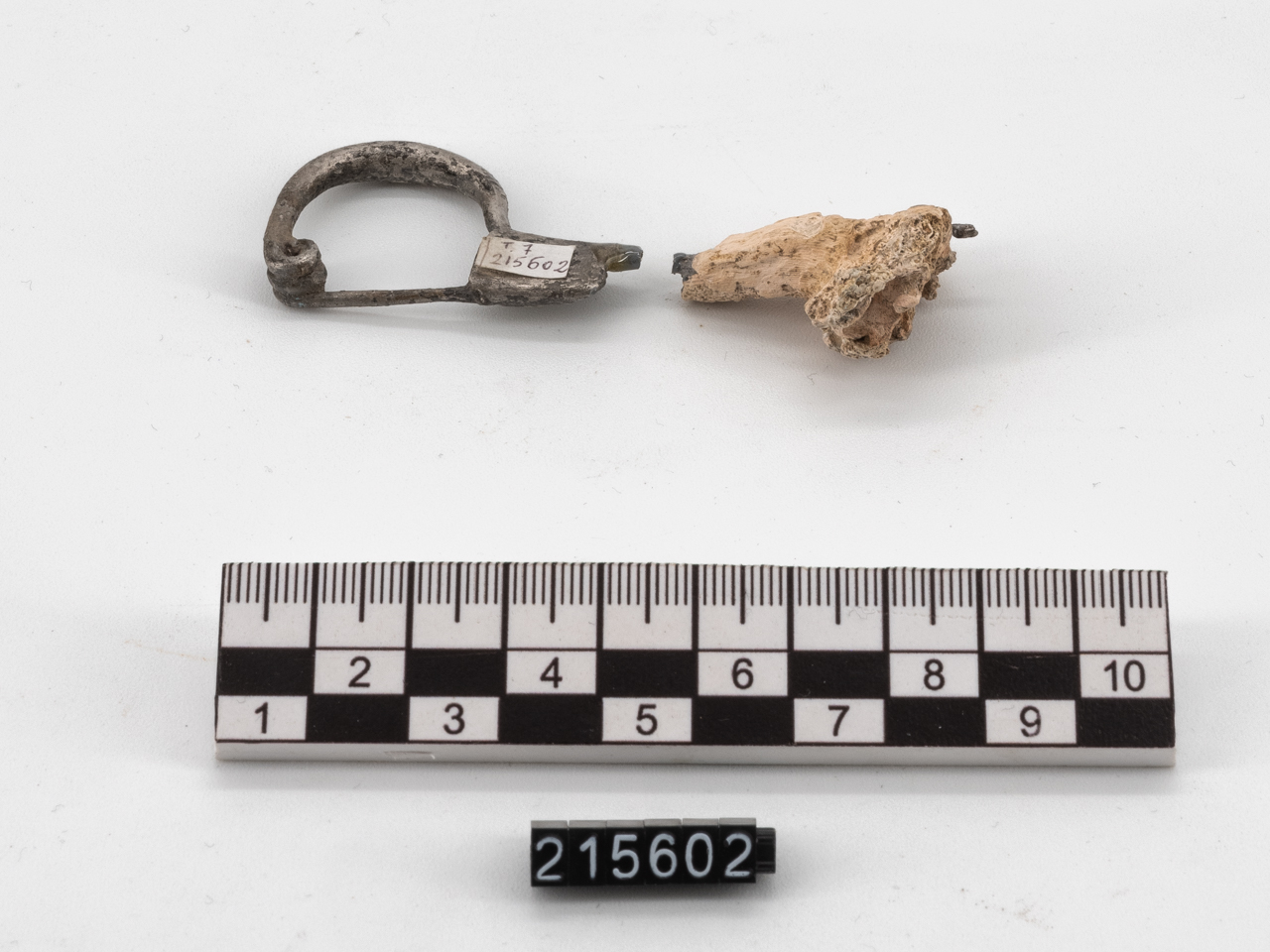 fibula (seconda metà SECOLI/ IV a.C)