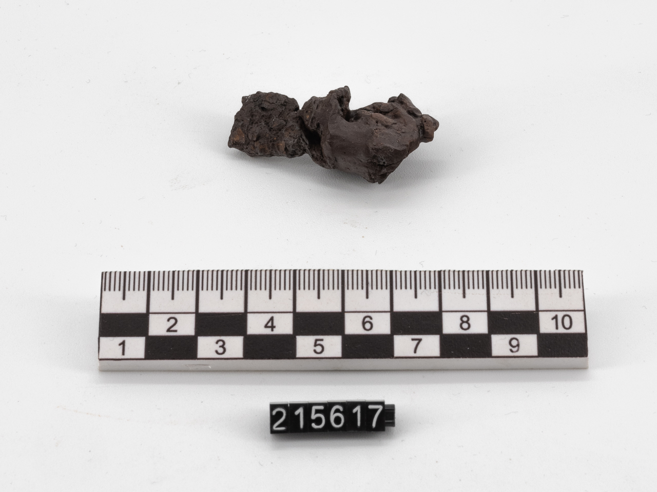 fibula (seconda metà SECOLI/ IV a.C)