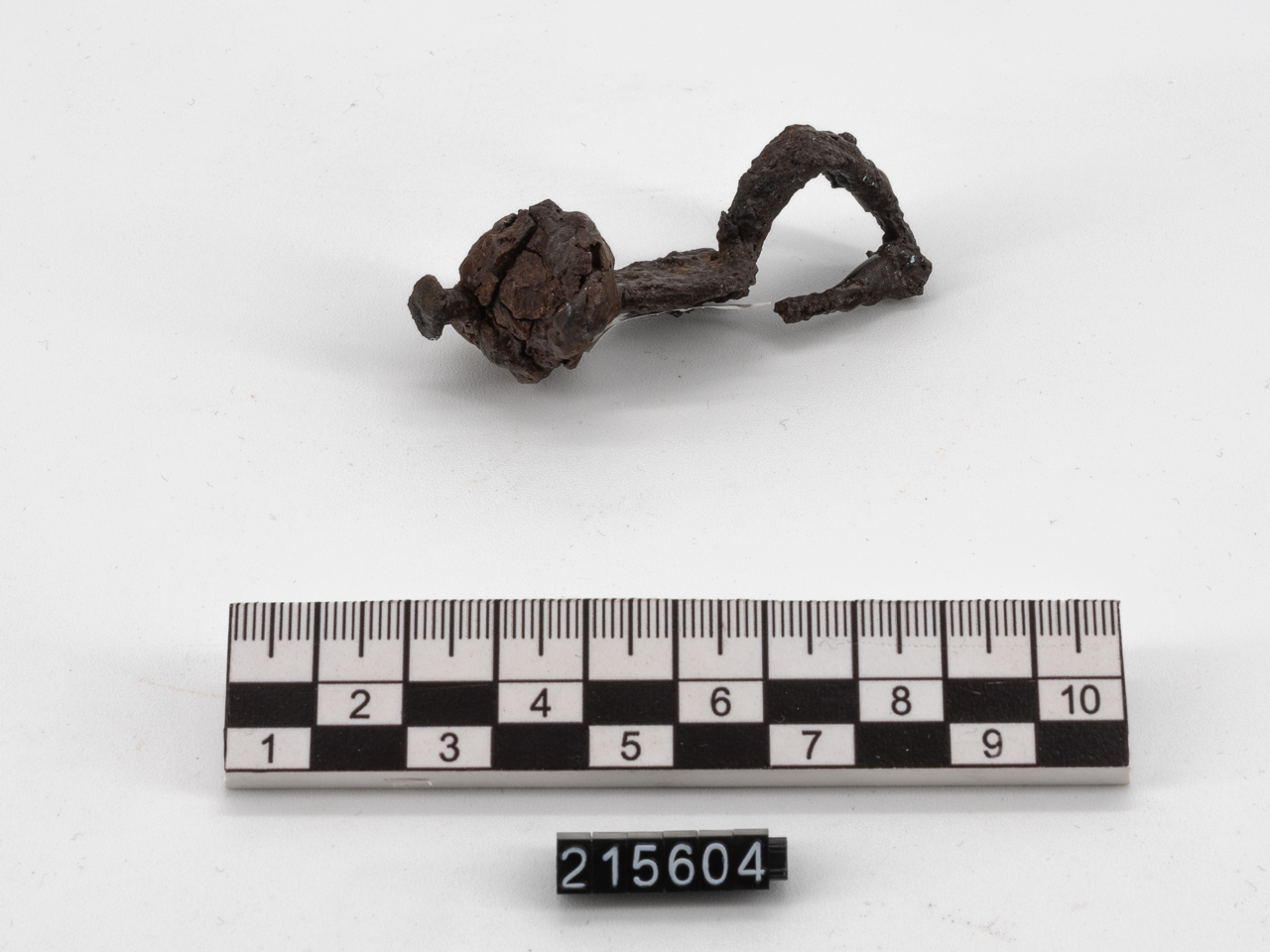 fibula (seconda metà SECOLI/ IV a.C)