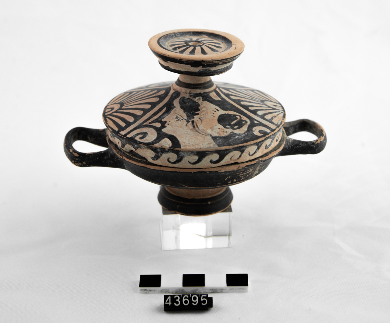 lekanis (seconda metà SECOLI/ IV a.C)