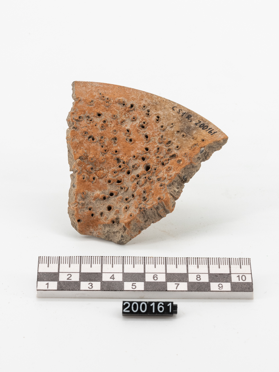 coperchio (PERIODIZZAZIONI/ PROTOSTORIA)