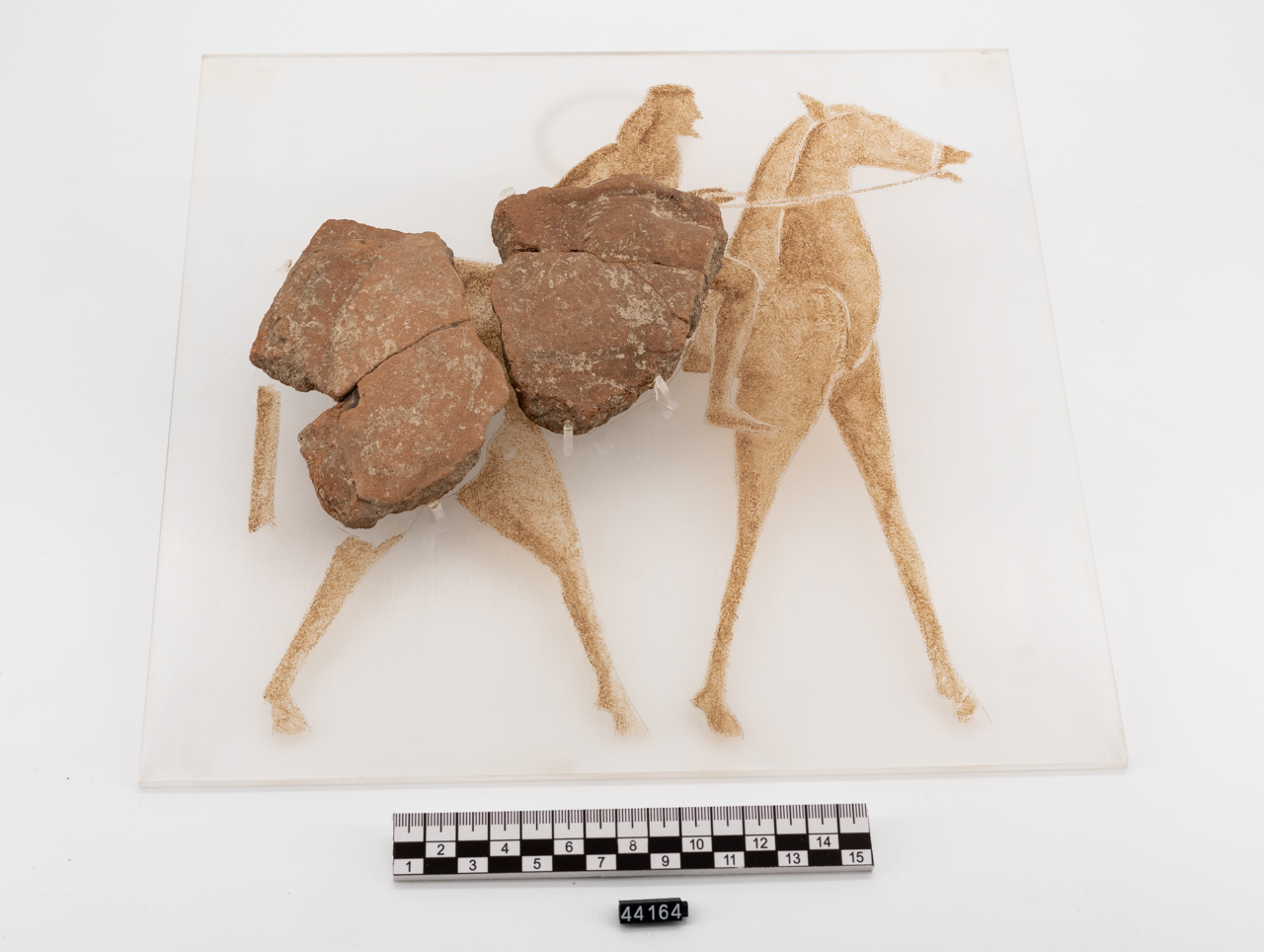 anfora/ parete (SECOLI/ VII a.C)