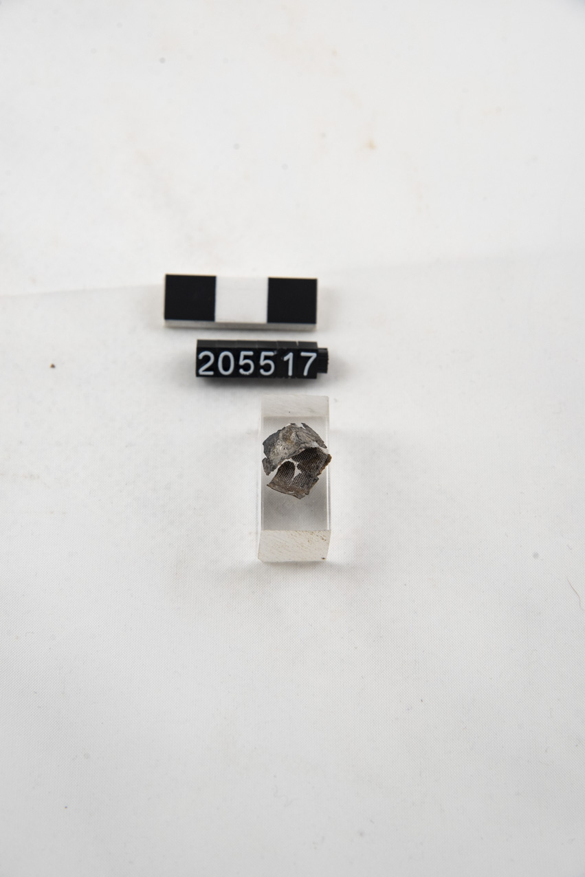 anello/ digitale - ambito romano (SECOLI/ I a.C)